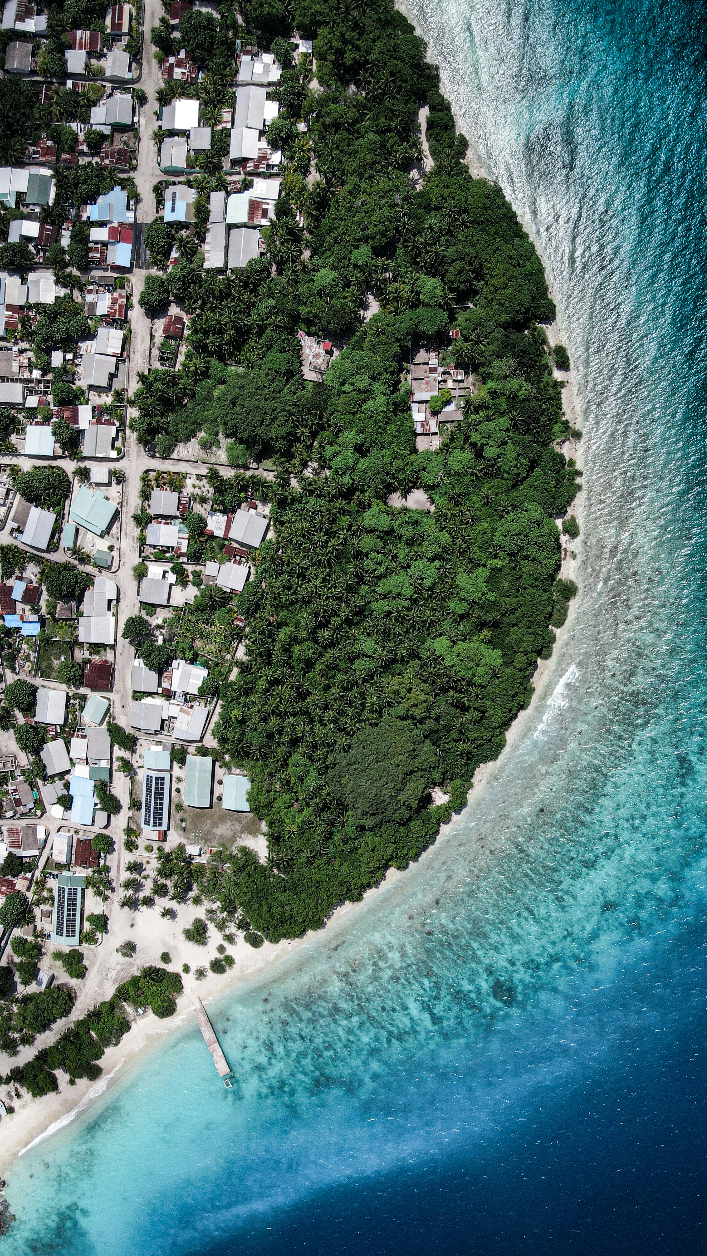 Photo by shadesoftropical