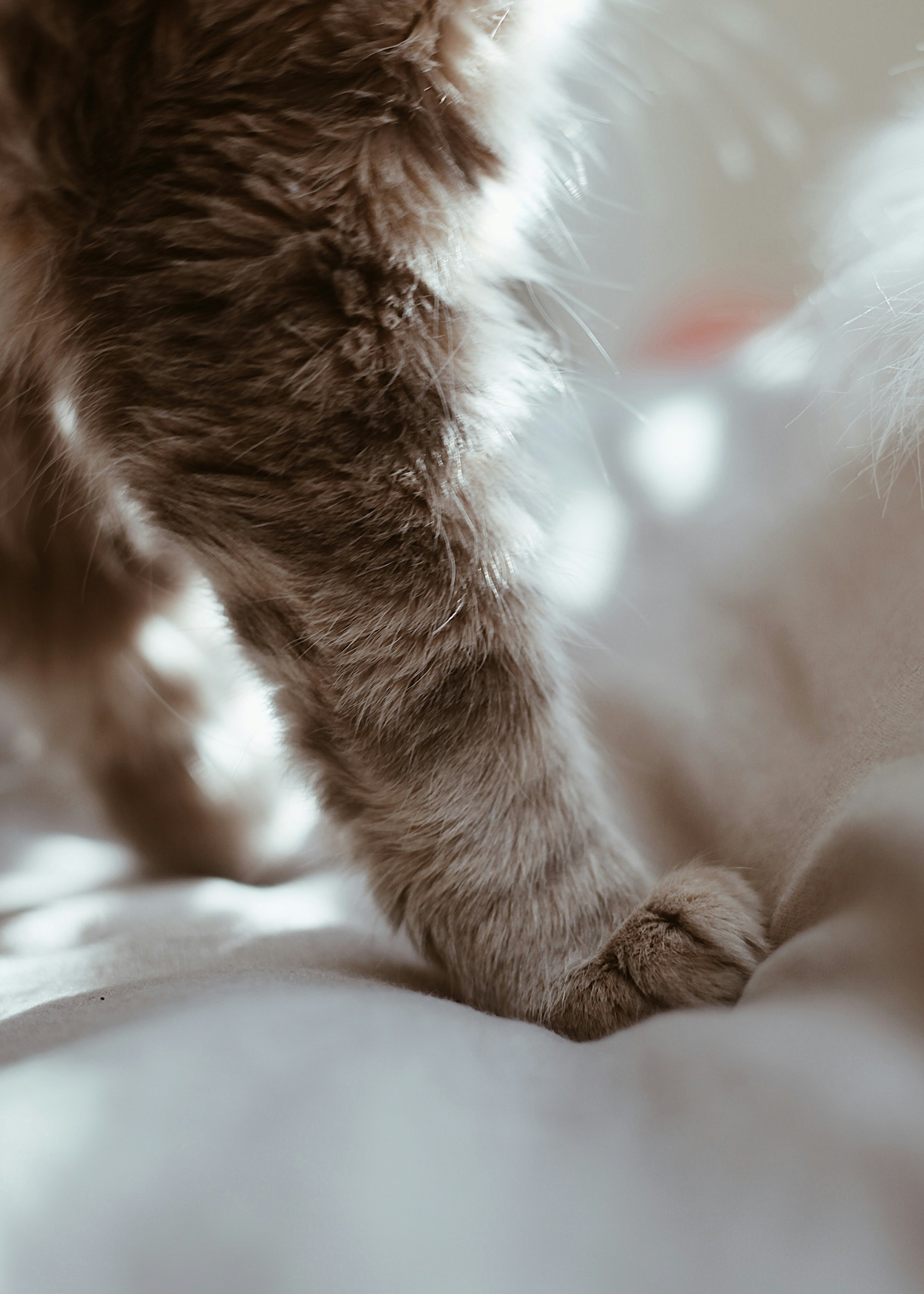 Photo by earthtokarly