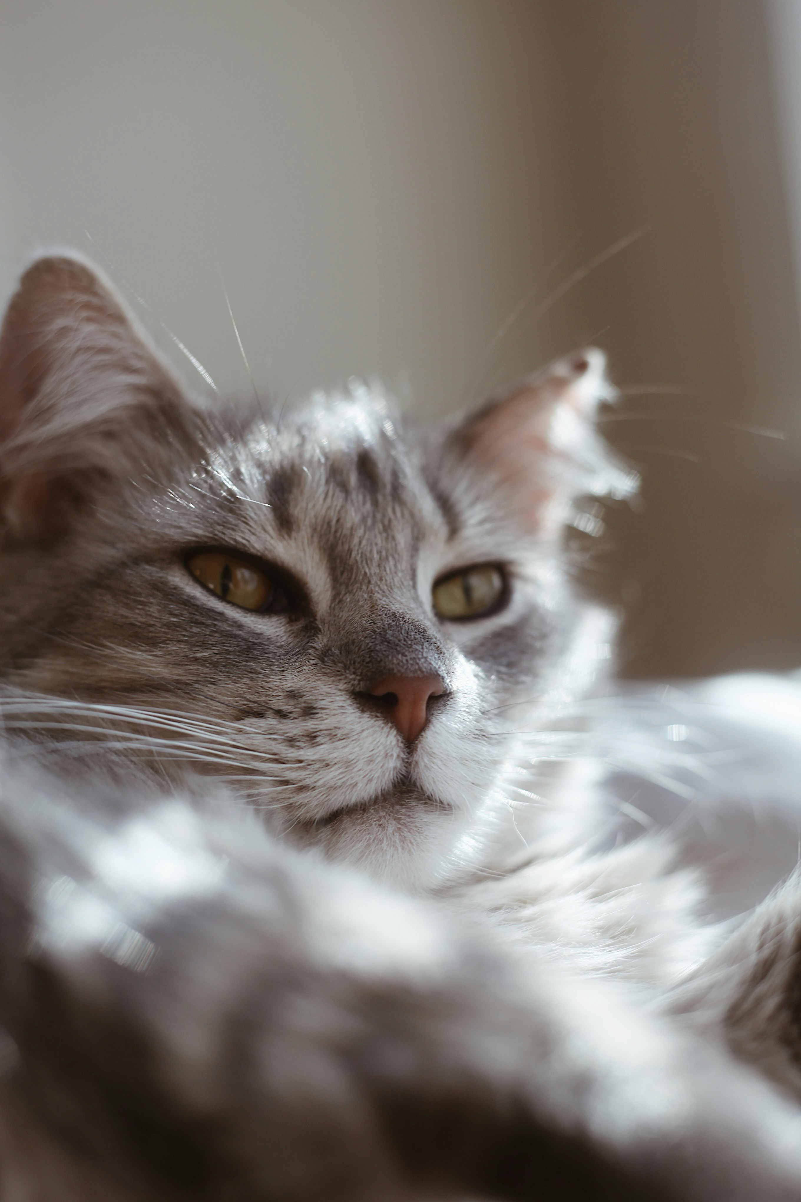 Photo by earthtokarly