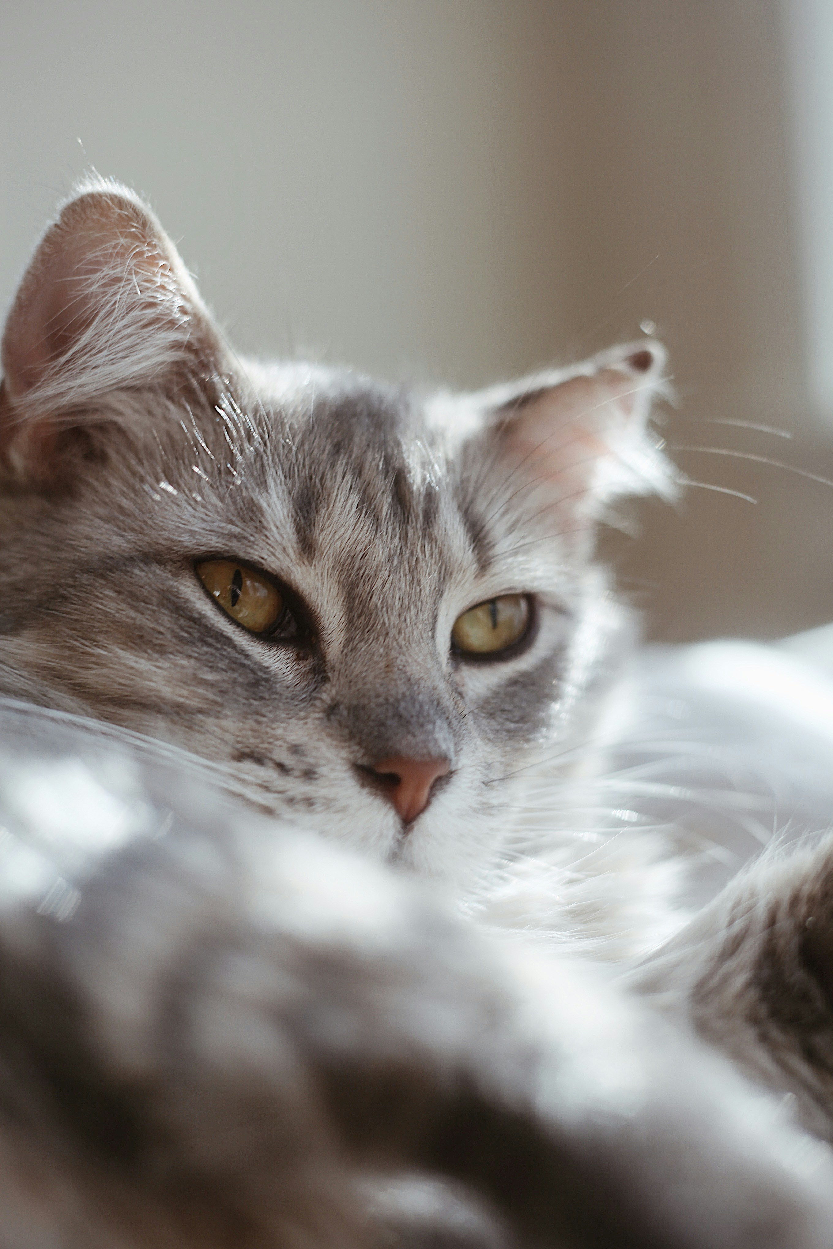 Photo by earthtokarly