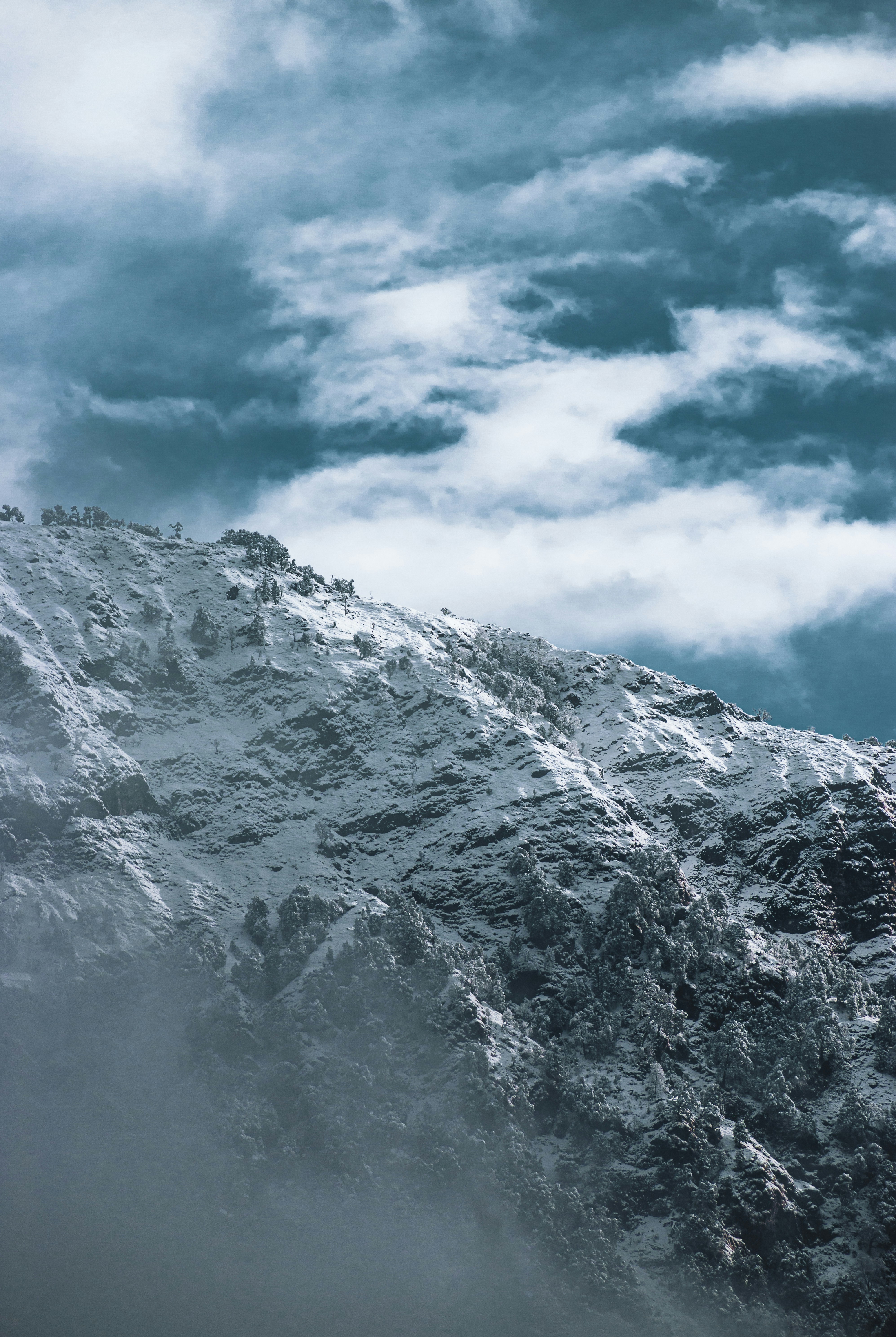 Photo by sanjay_koranga