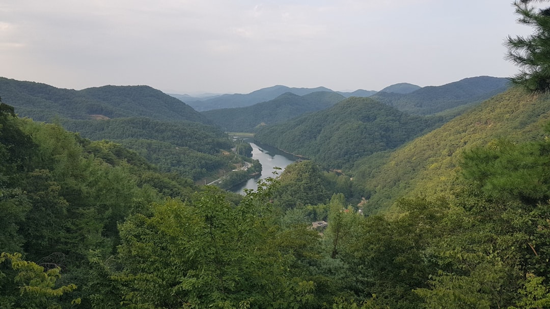 a view of a river surrounded by trees,