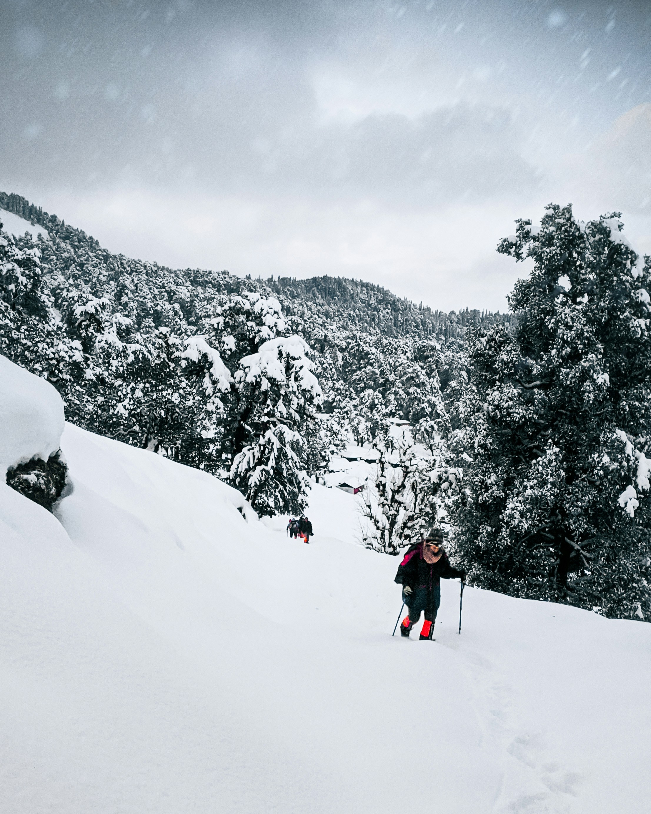 Hiking Guides and Stickers
