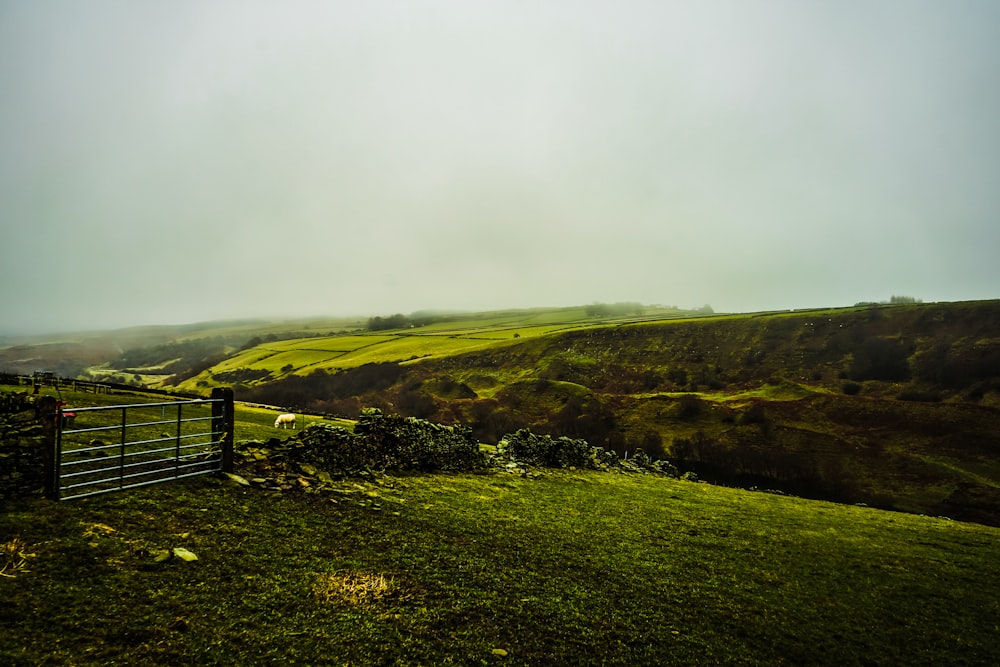 a grassy field with a fence on the side of it