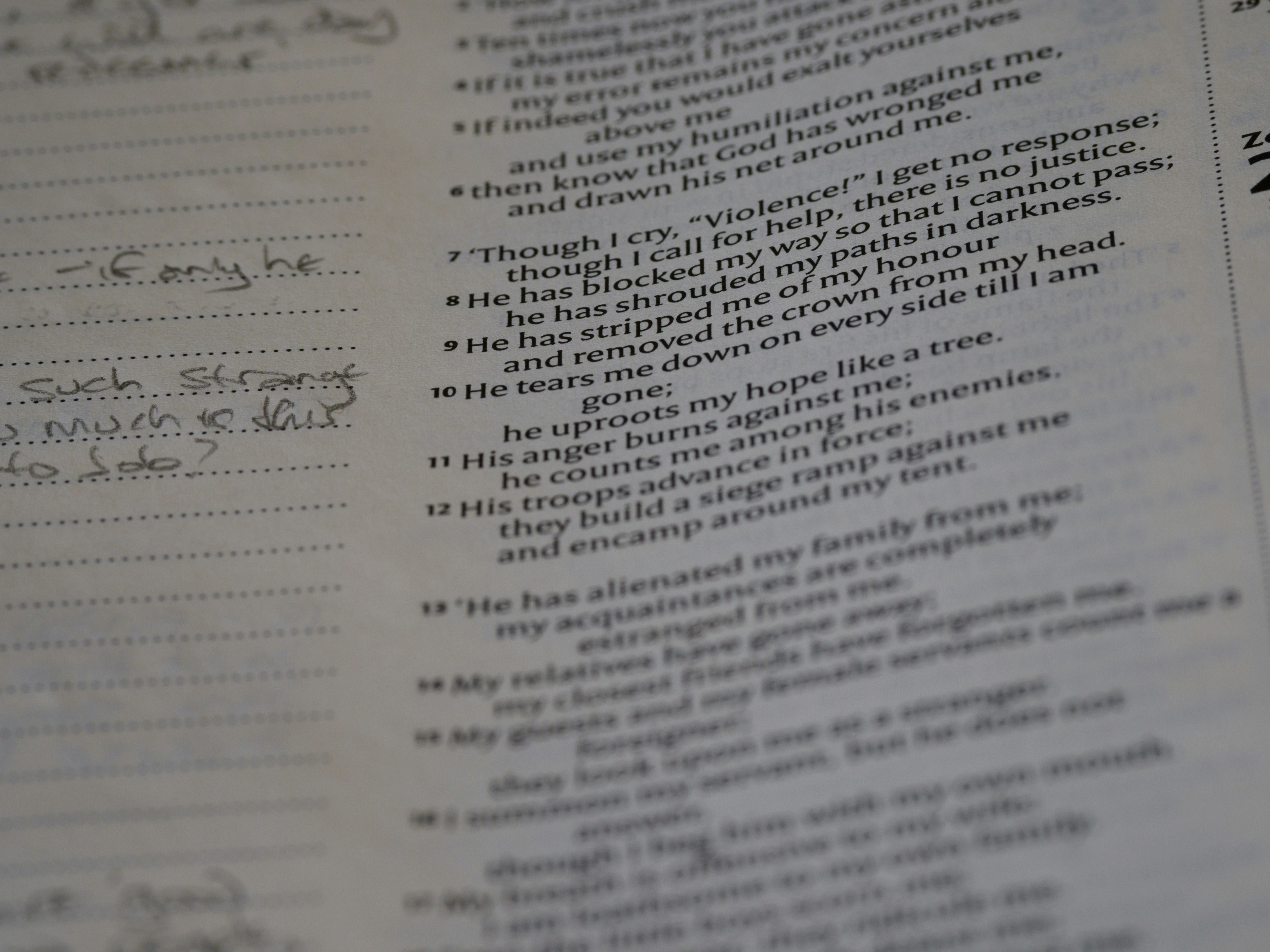 Photo by brett_jordan