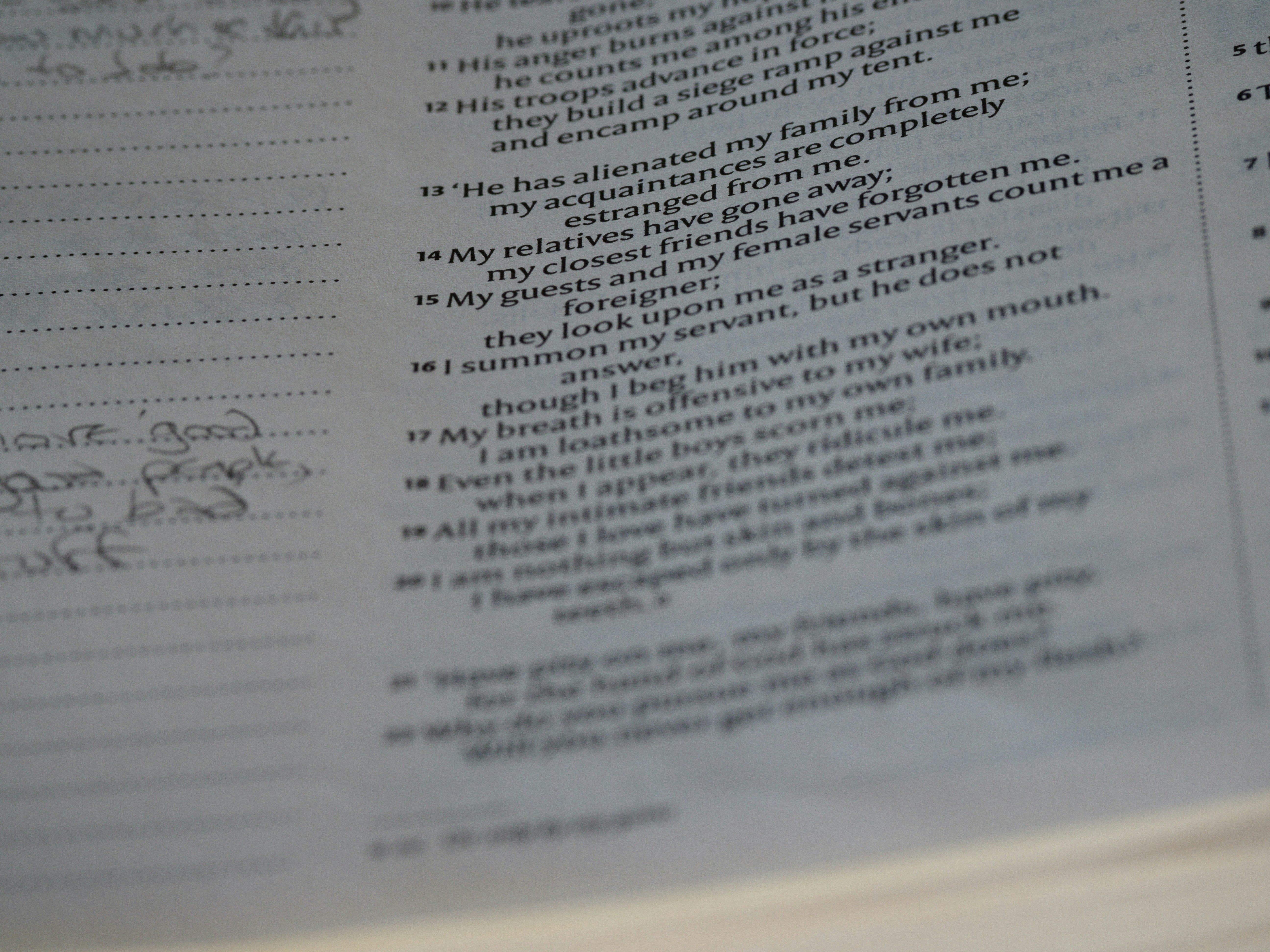 Photo by brett_jordan