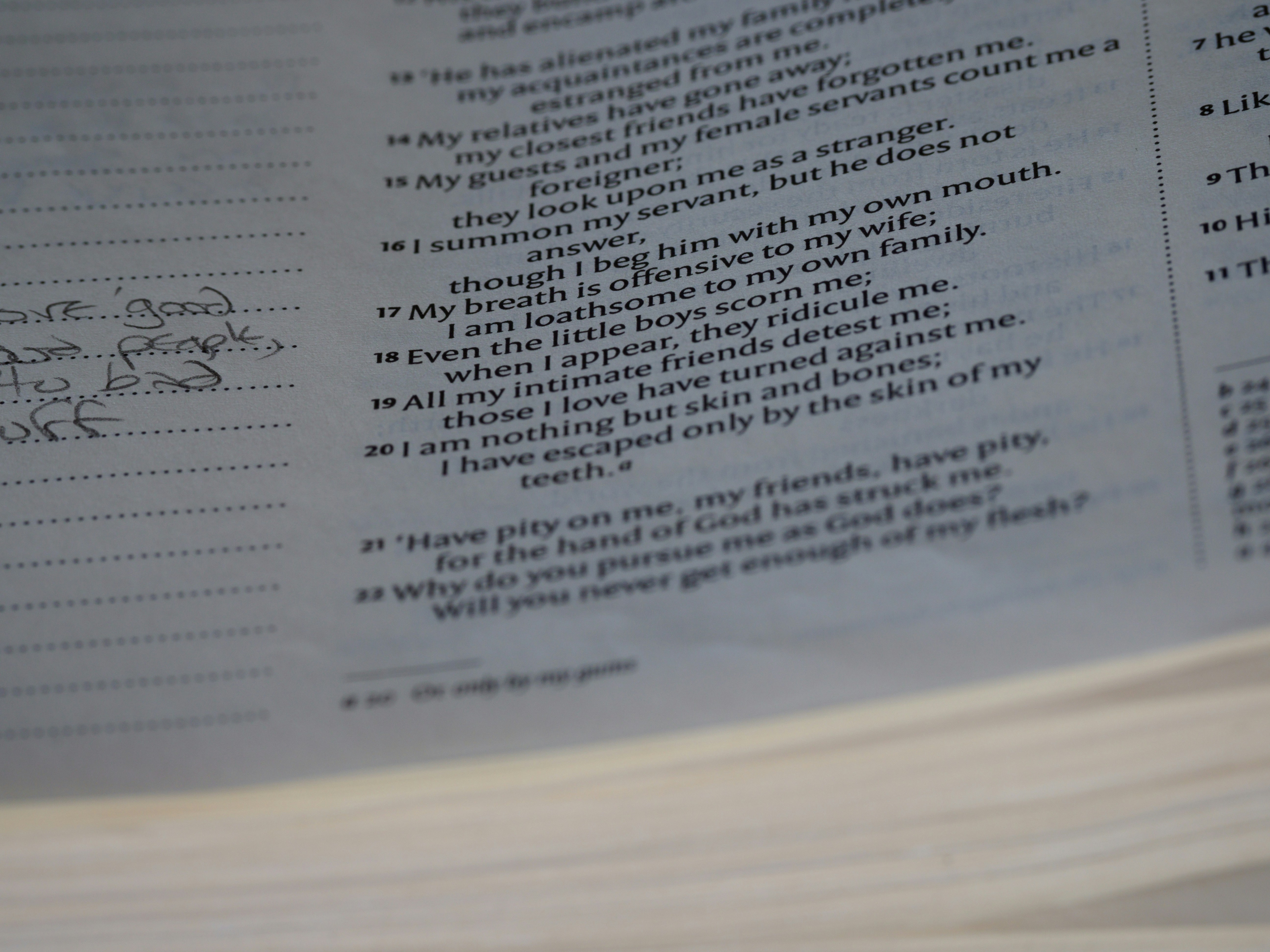 Photo by brett_jordan