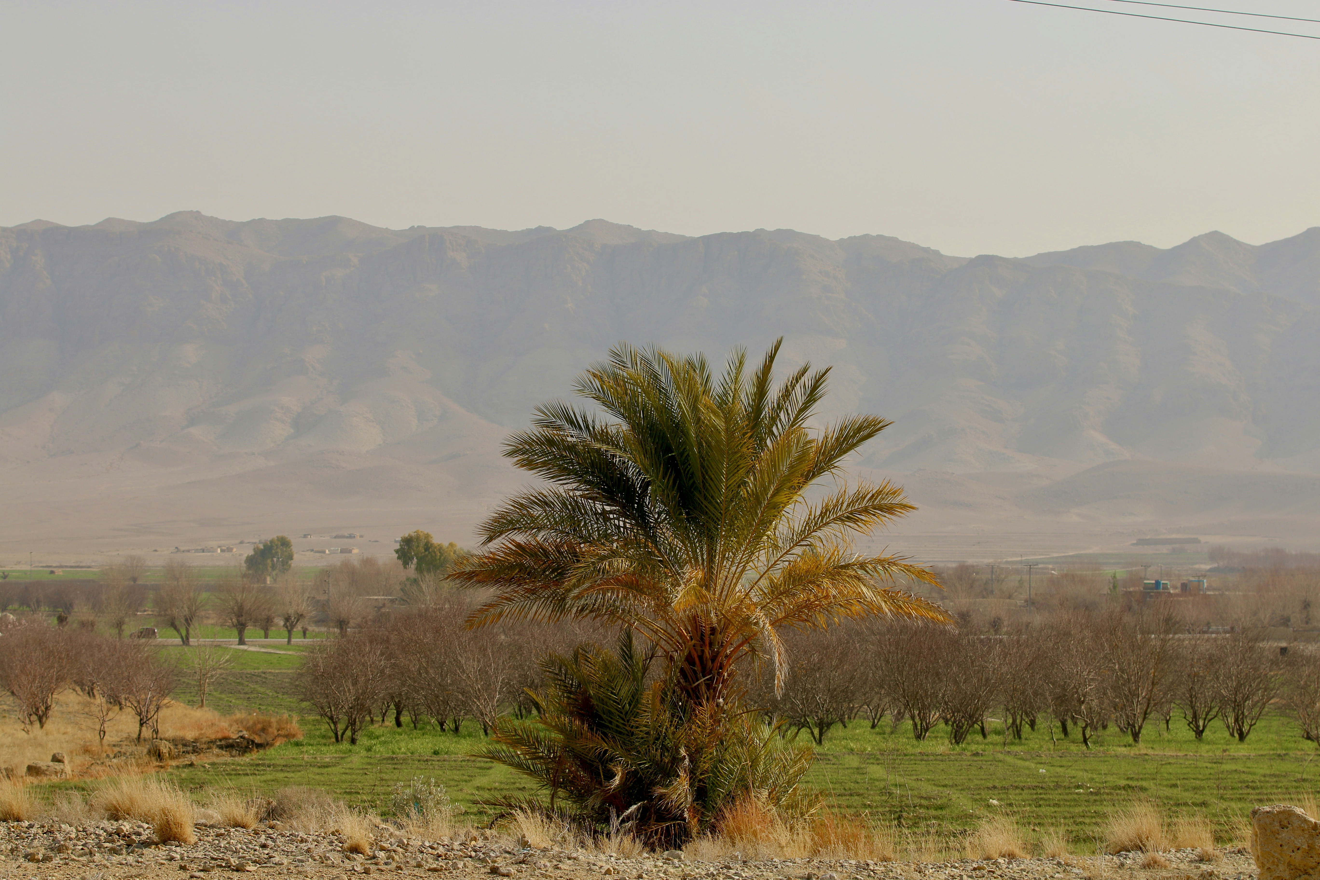 صورة المعرض