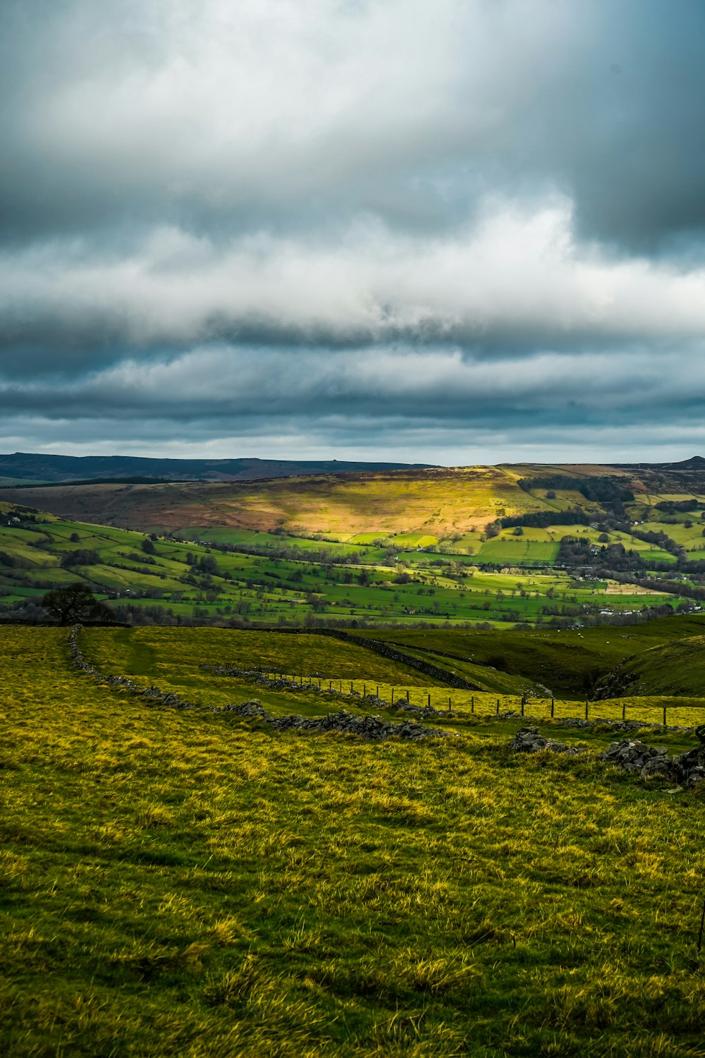 a lush green field with a fence in the foreground