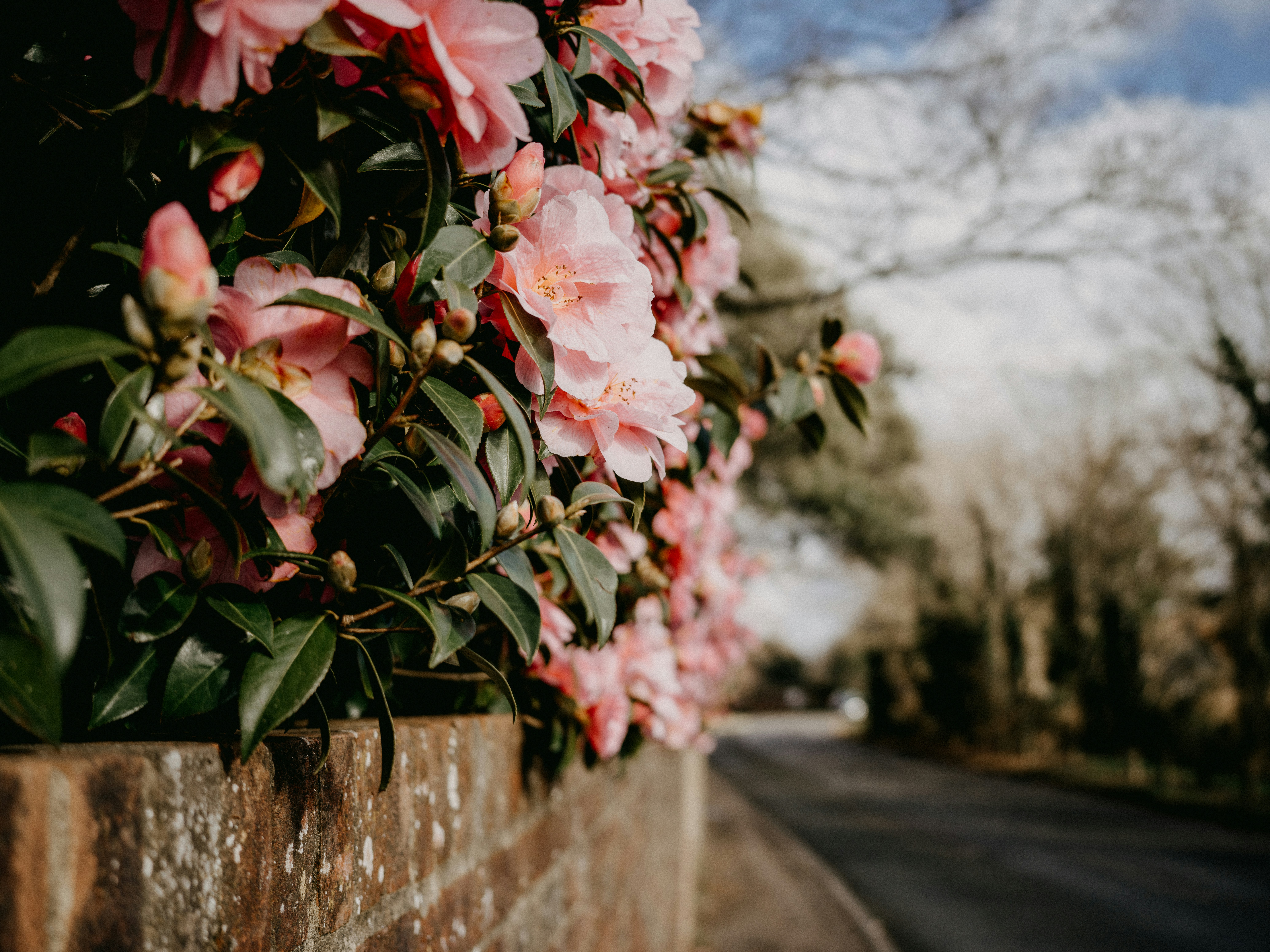 Photo by anniespratt