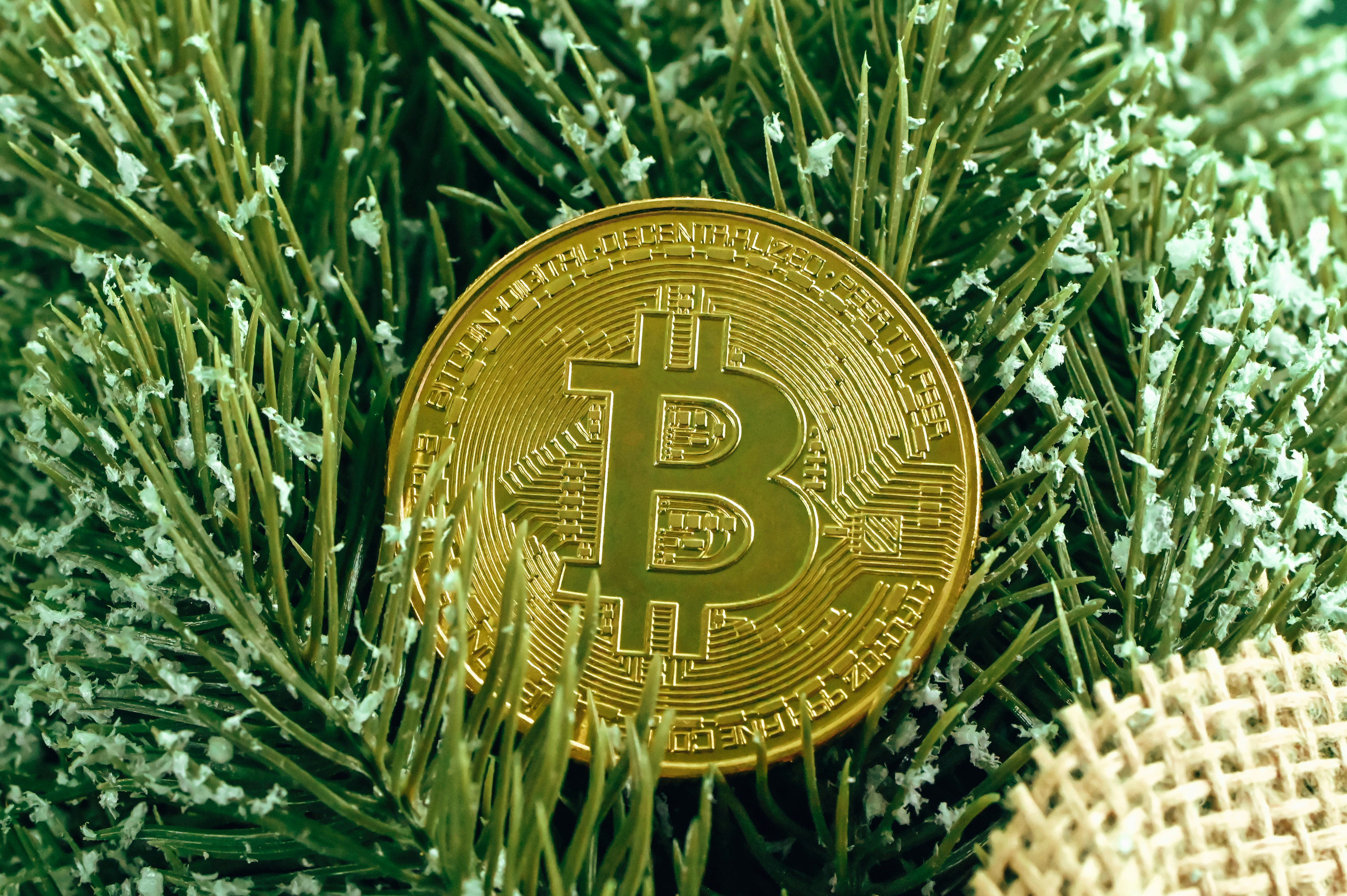 The Easiest and Safest Methods for Gifting Crypto at Christmas 2025