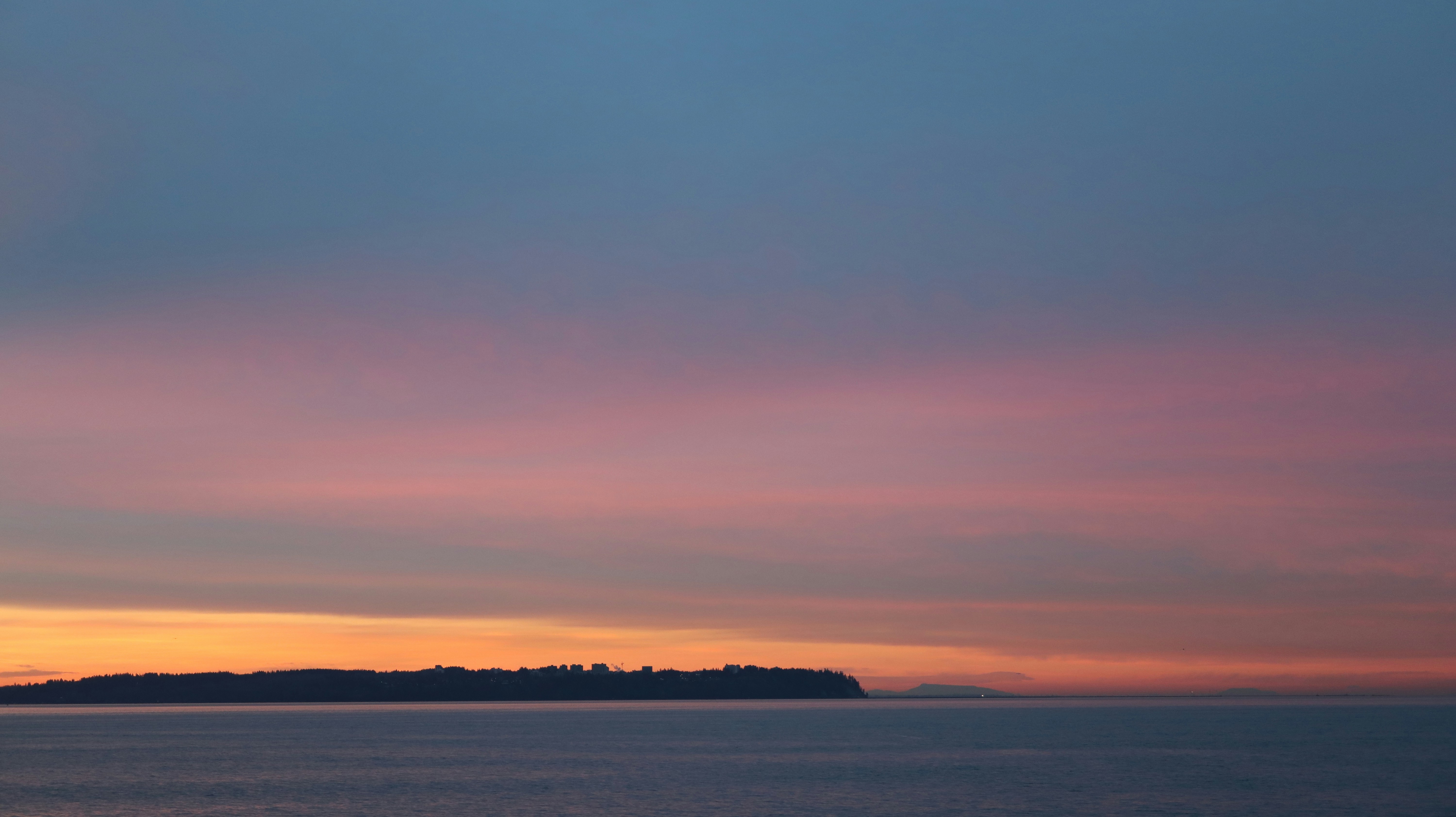 Photo by maplebookstore