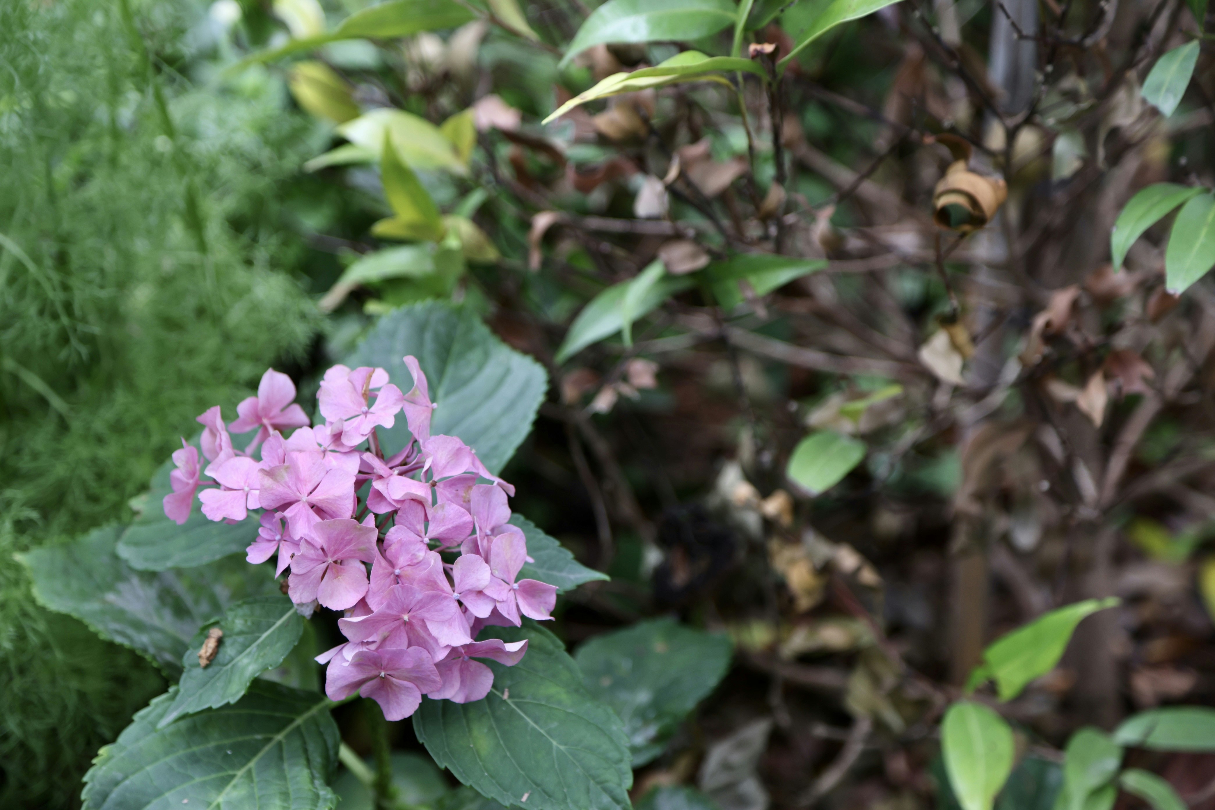 Photo by dickenslin76