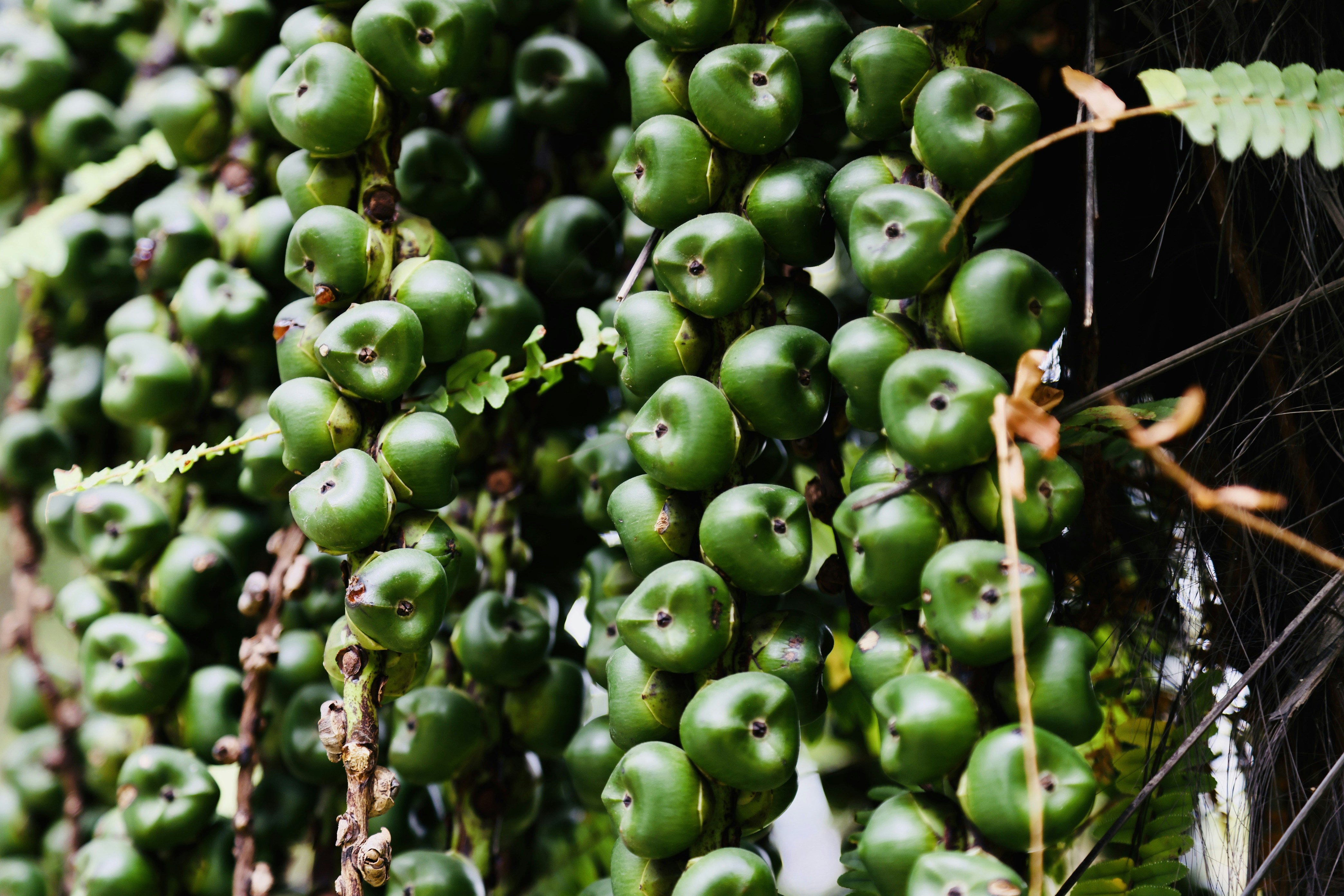 Photo by dickenslin76