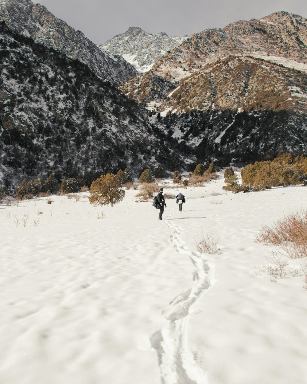 a couple of people walking across a snow covered field