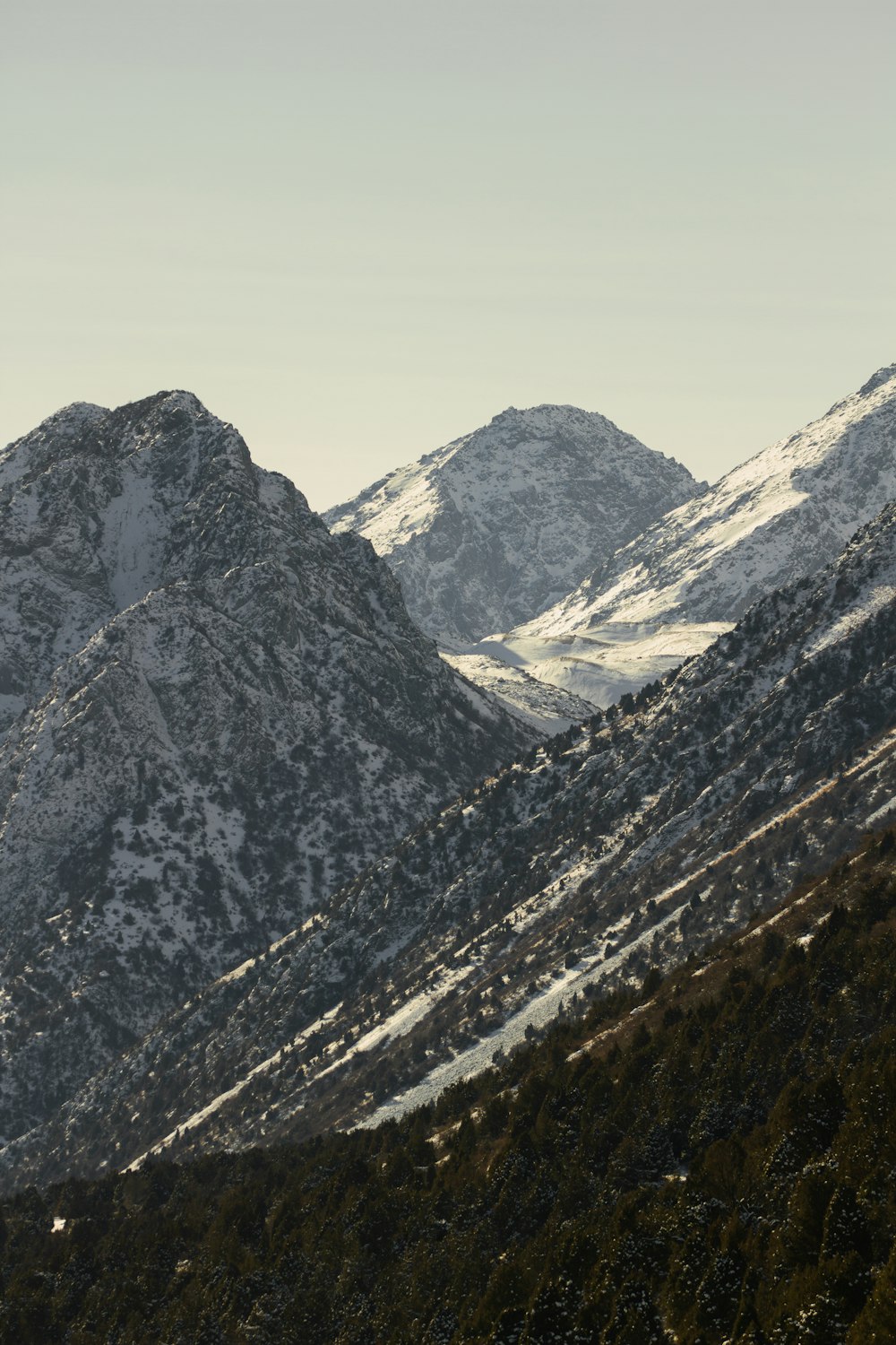 the mountains are covered in snow and trees