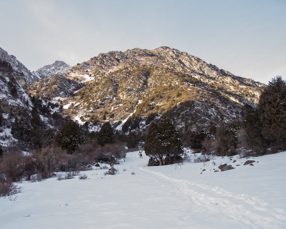 a snow covered mountain with tracks in the snow