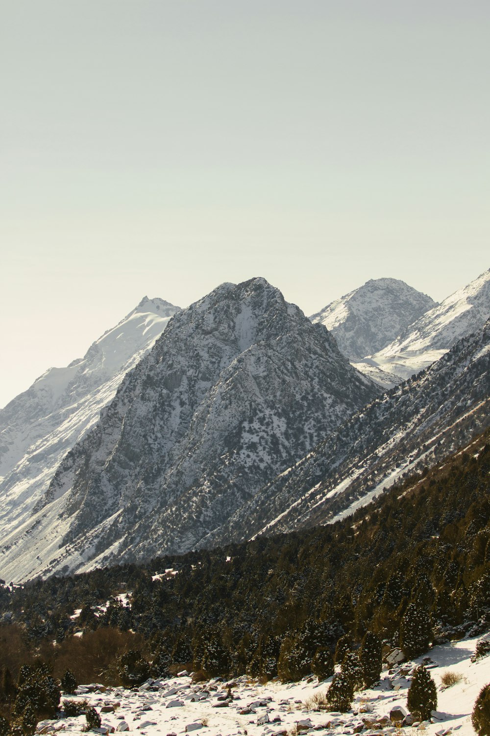 a snow covered mountain range with trees and bushes