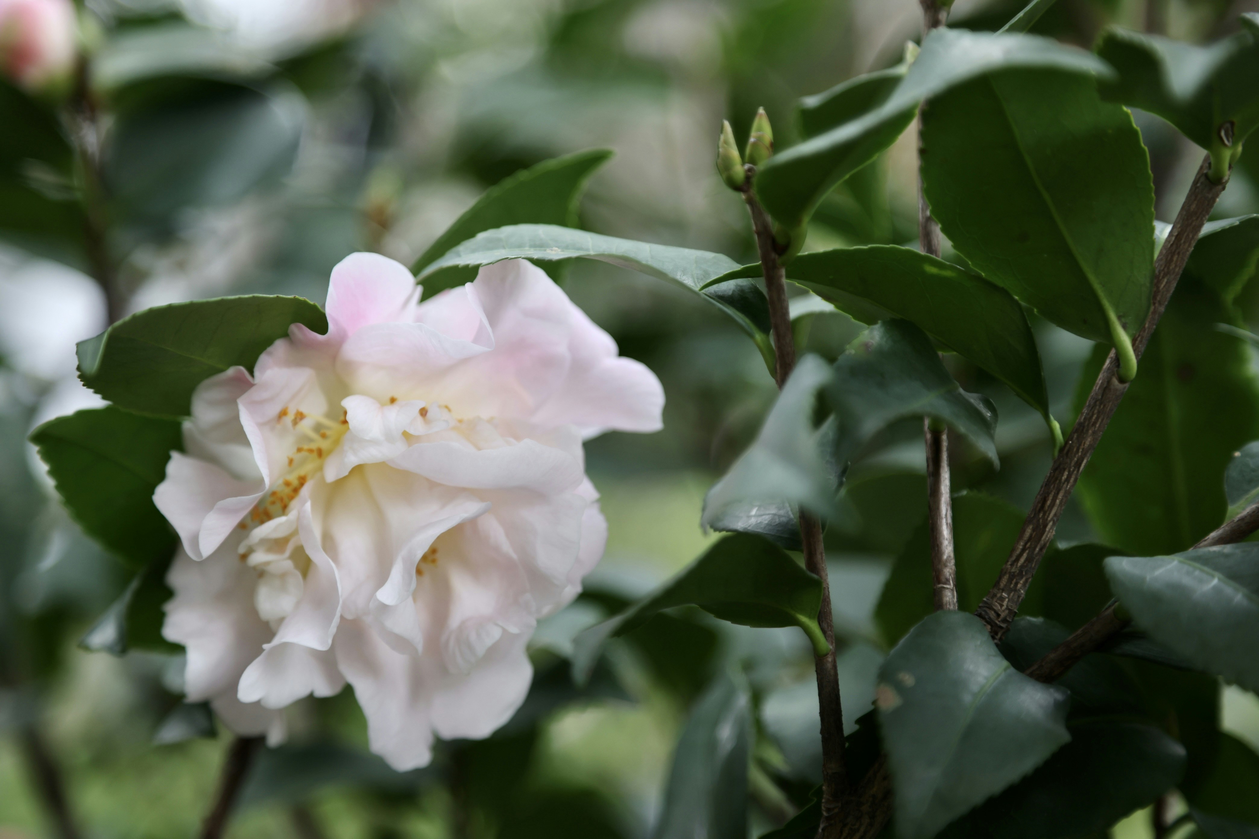 Photo by dickenslin76