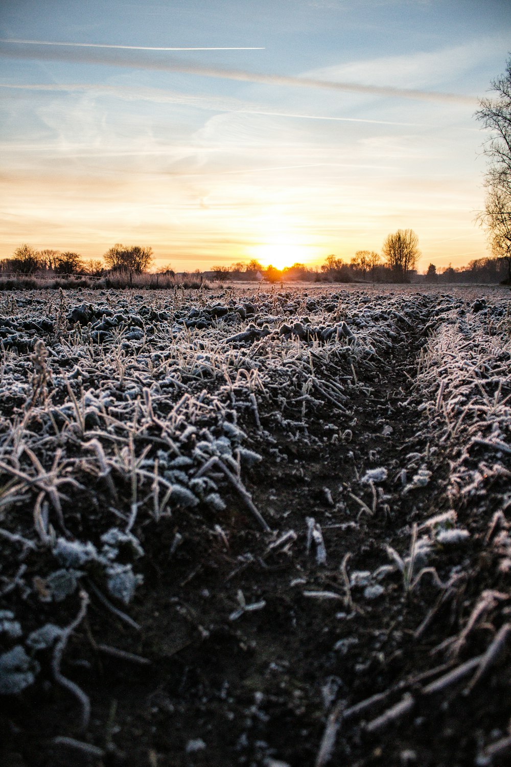 the sun is setting in the distance over a field