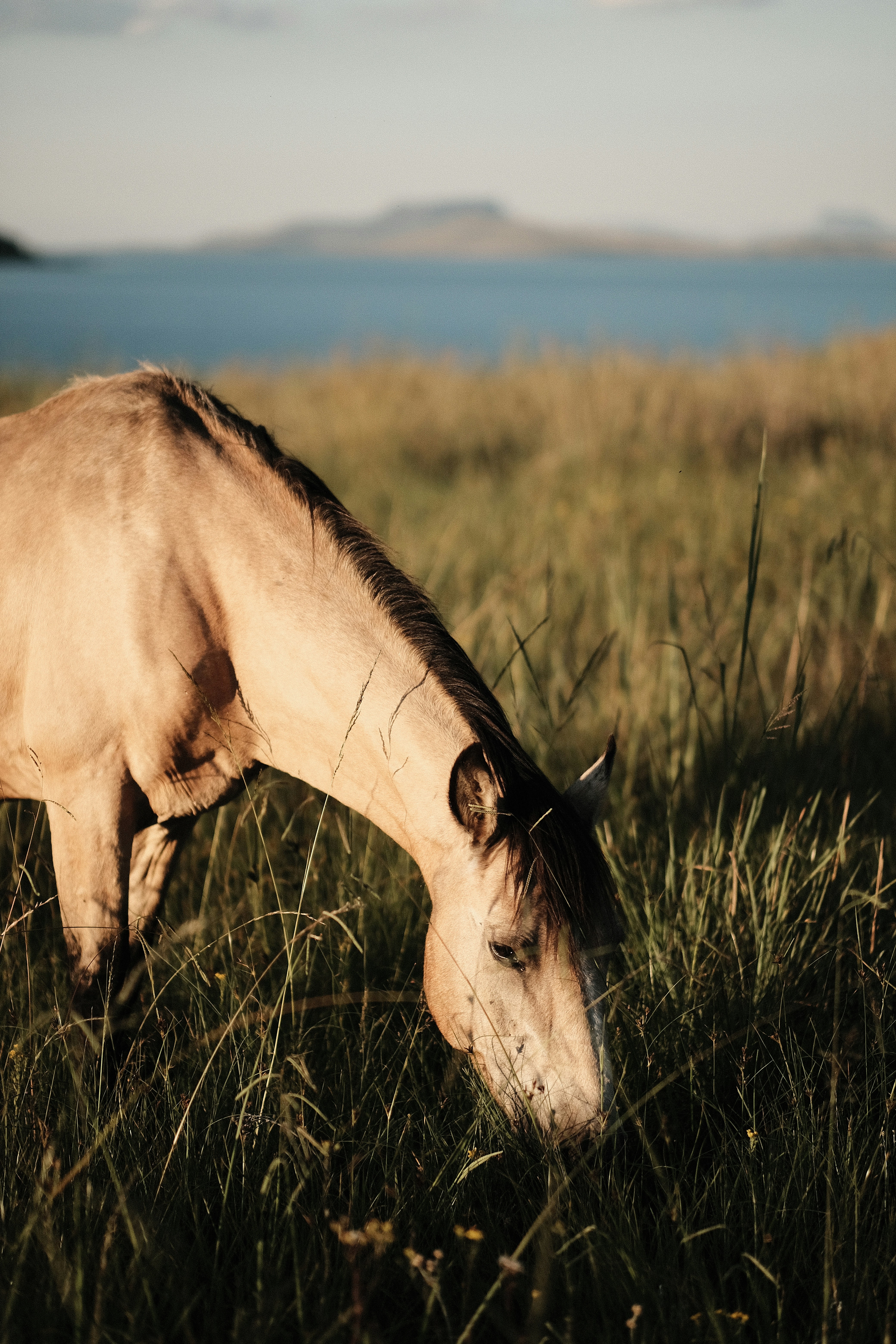 Photo by jeanvanwyk