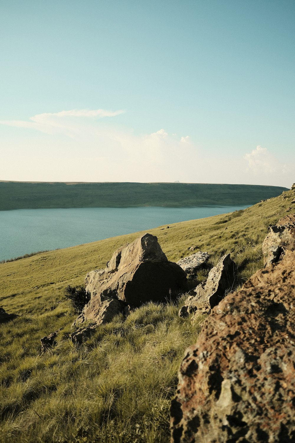 a cow standing on top of a lush green hillside