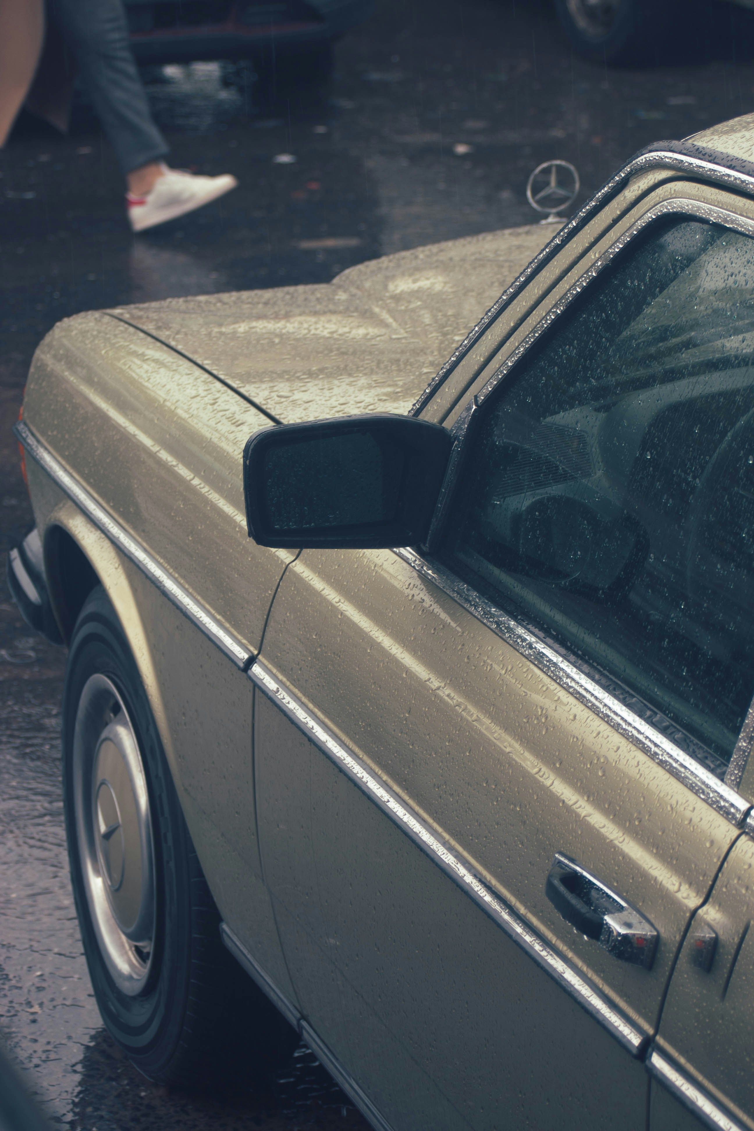 Photo by farouk_elwareth