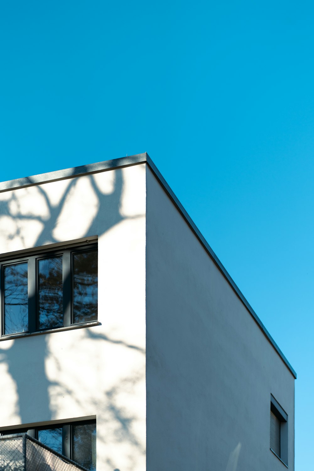 a white building with a tree in the window