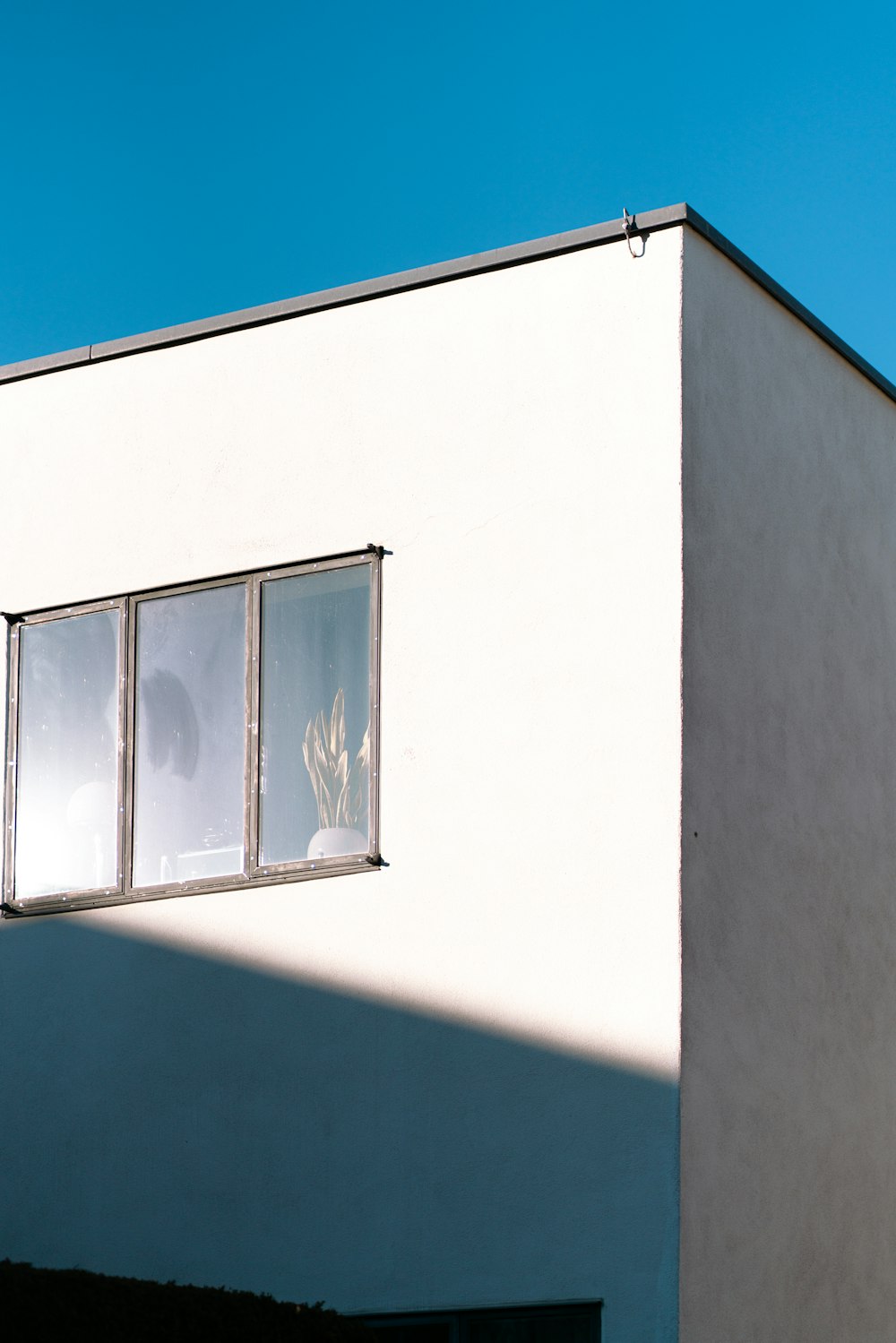 a white building with a window and a plant in the window