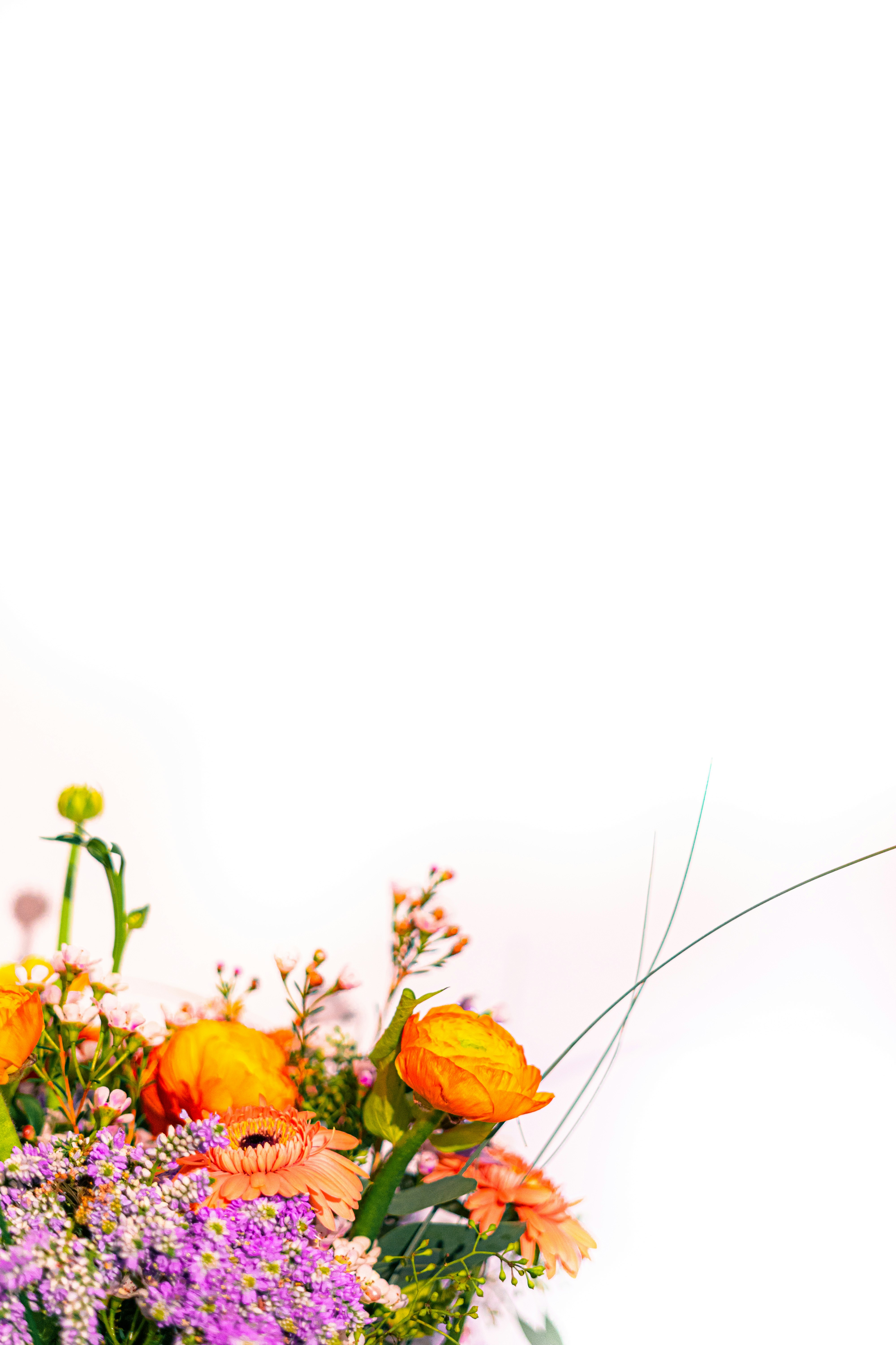 Photo by virussinside