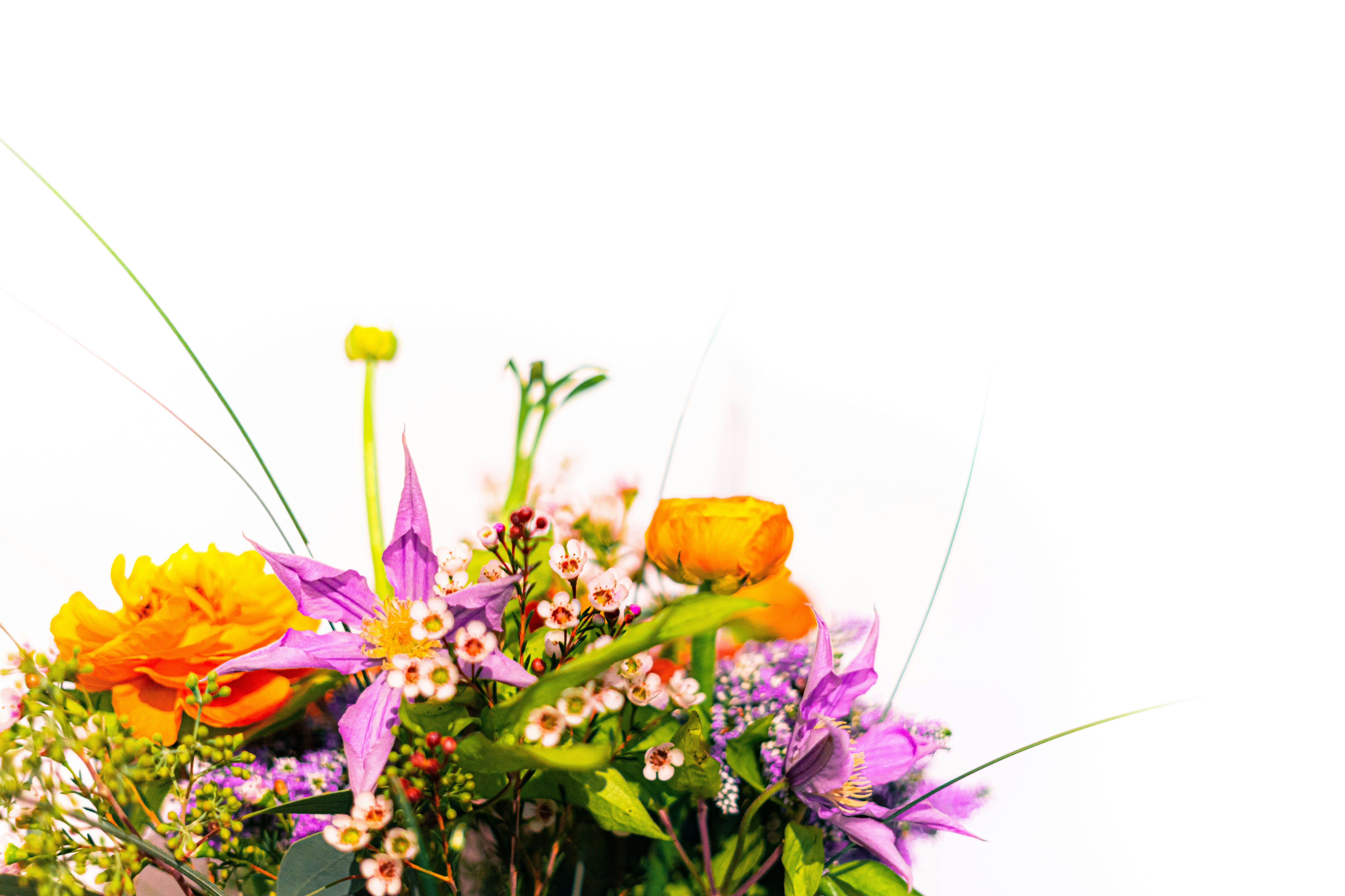 Photo by virussinside