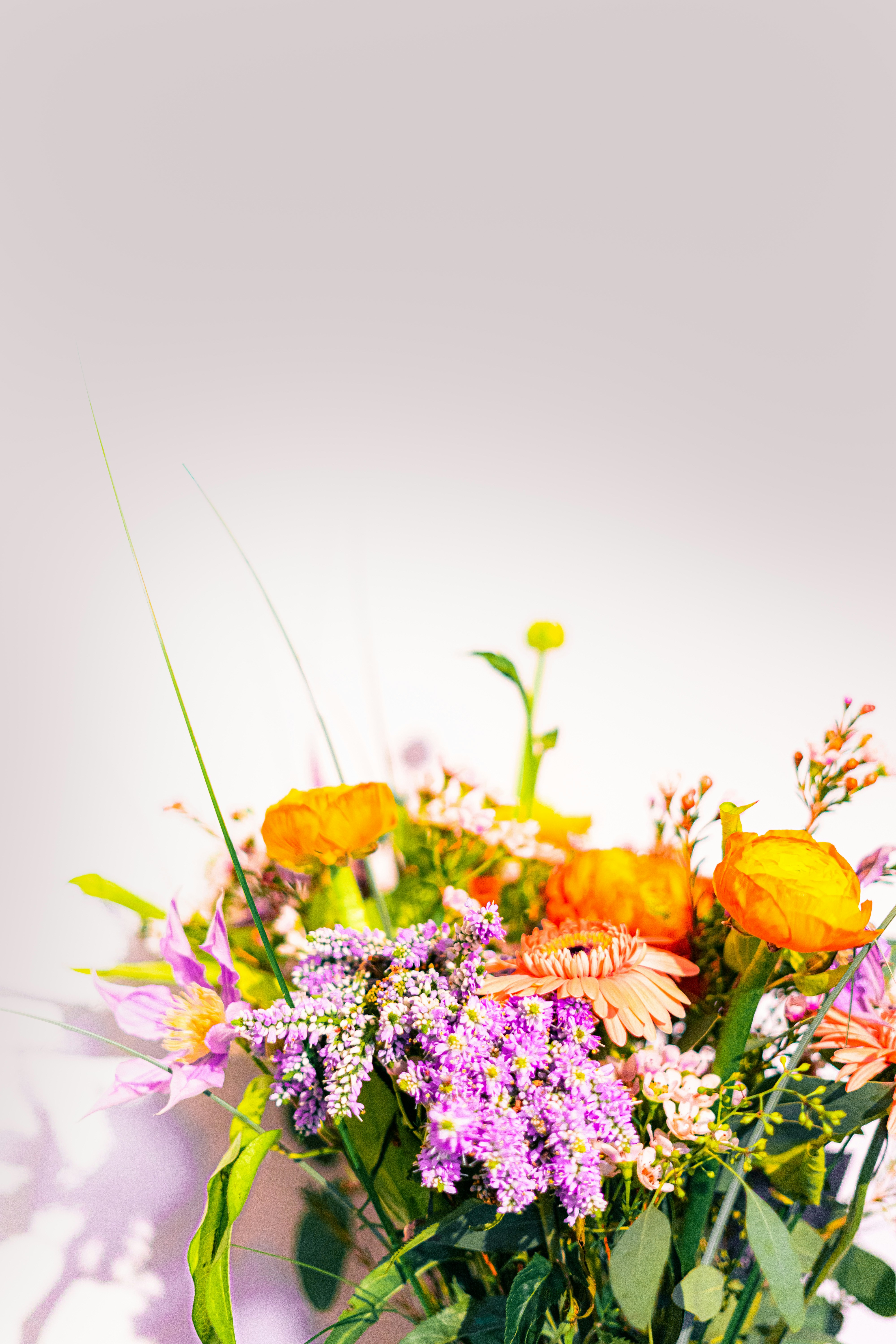 Photo by virussinside