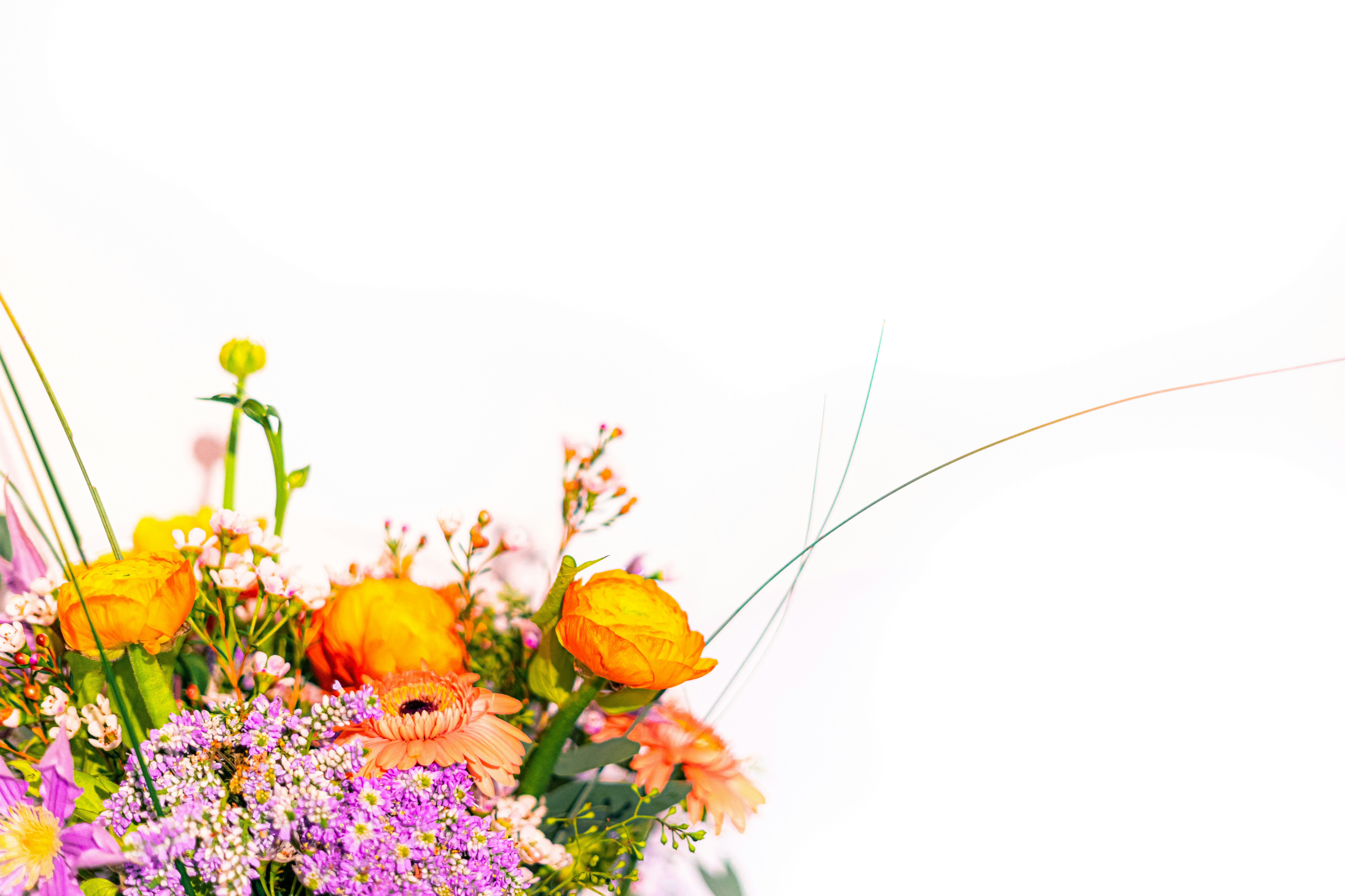 Photo by virussinside