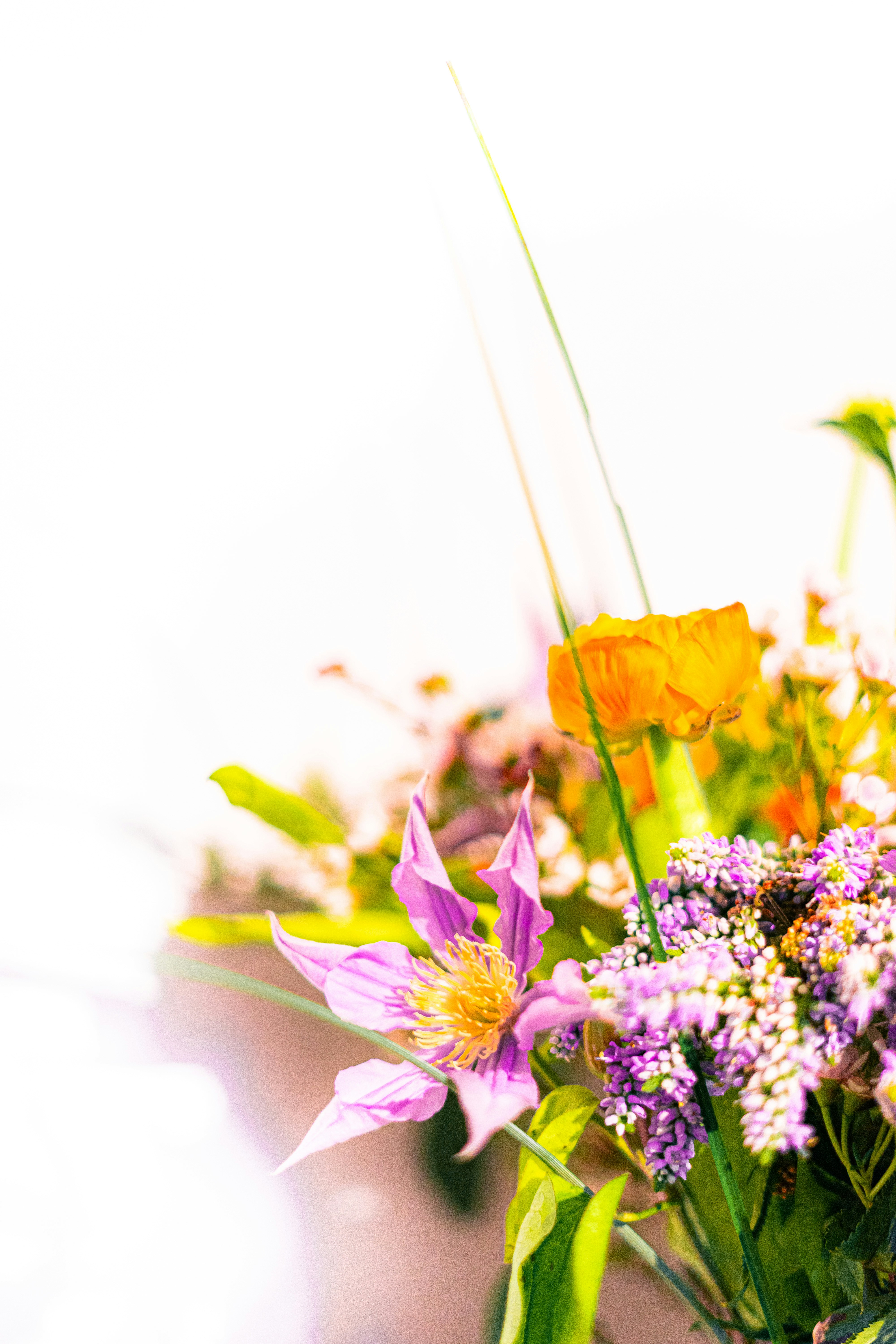 Photo by virussinside