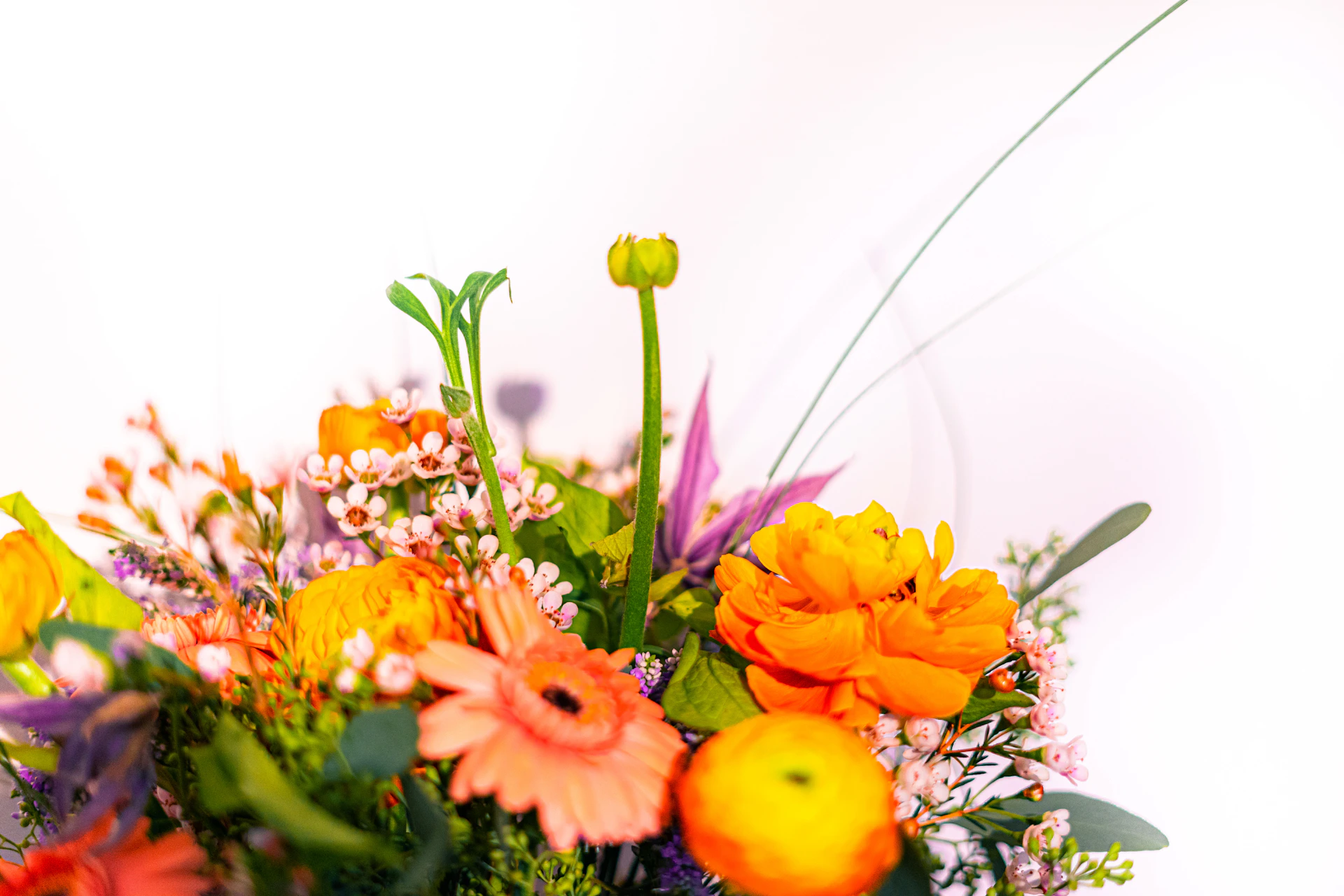 a vase filled with lots of different colored flowers
