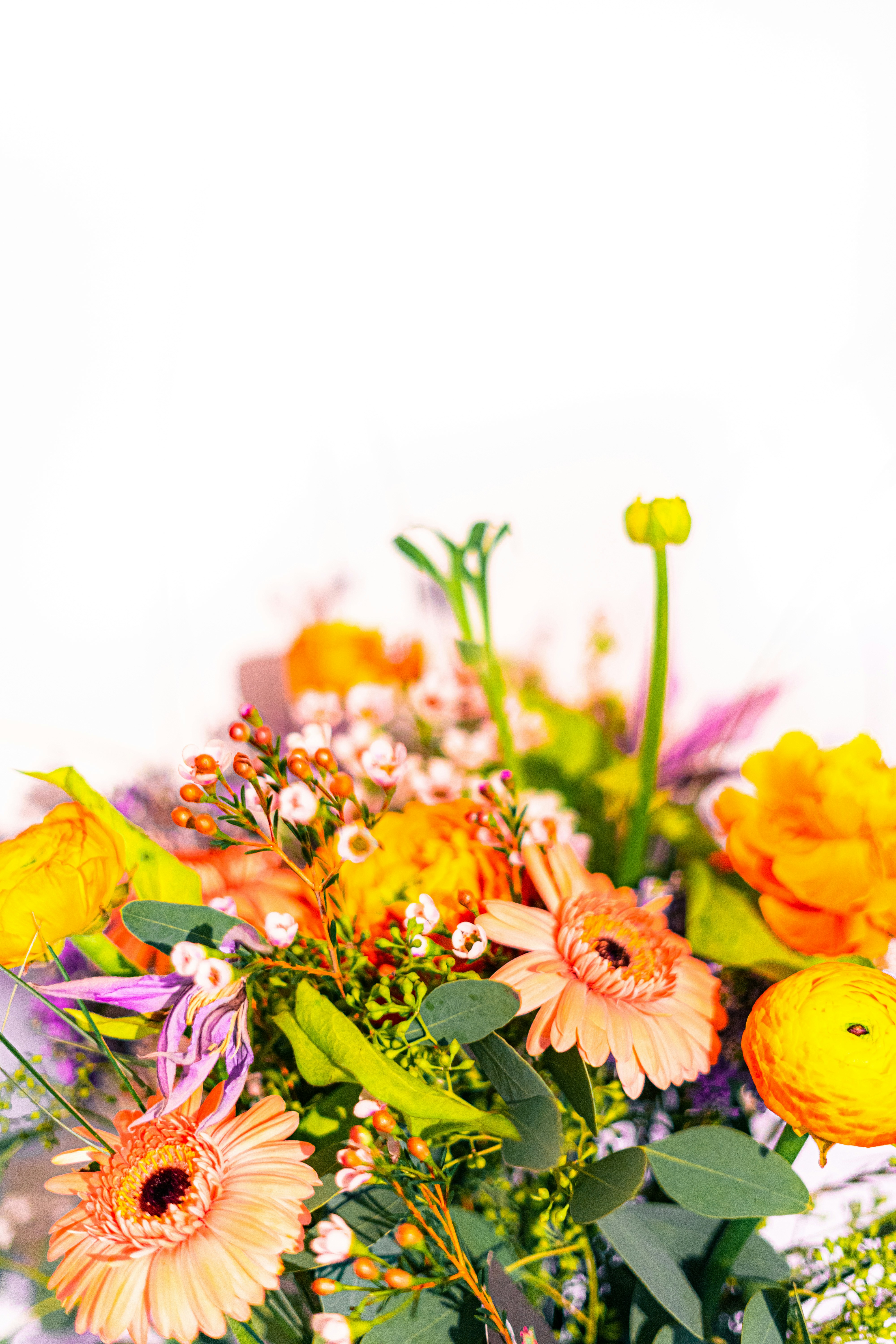 Photo by virussinside