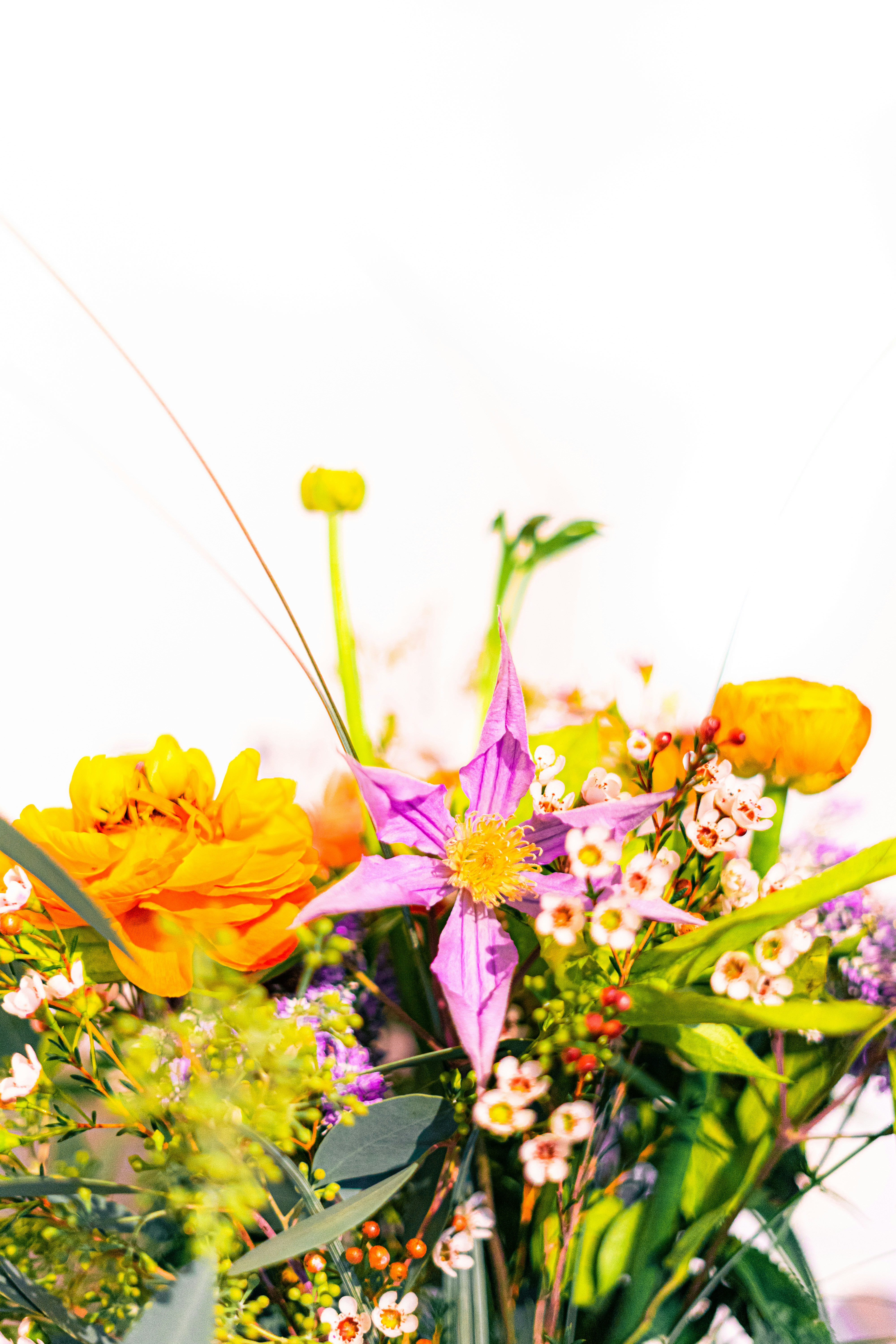 Photo by virussinside