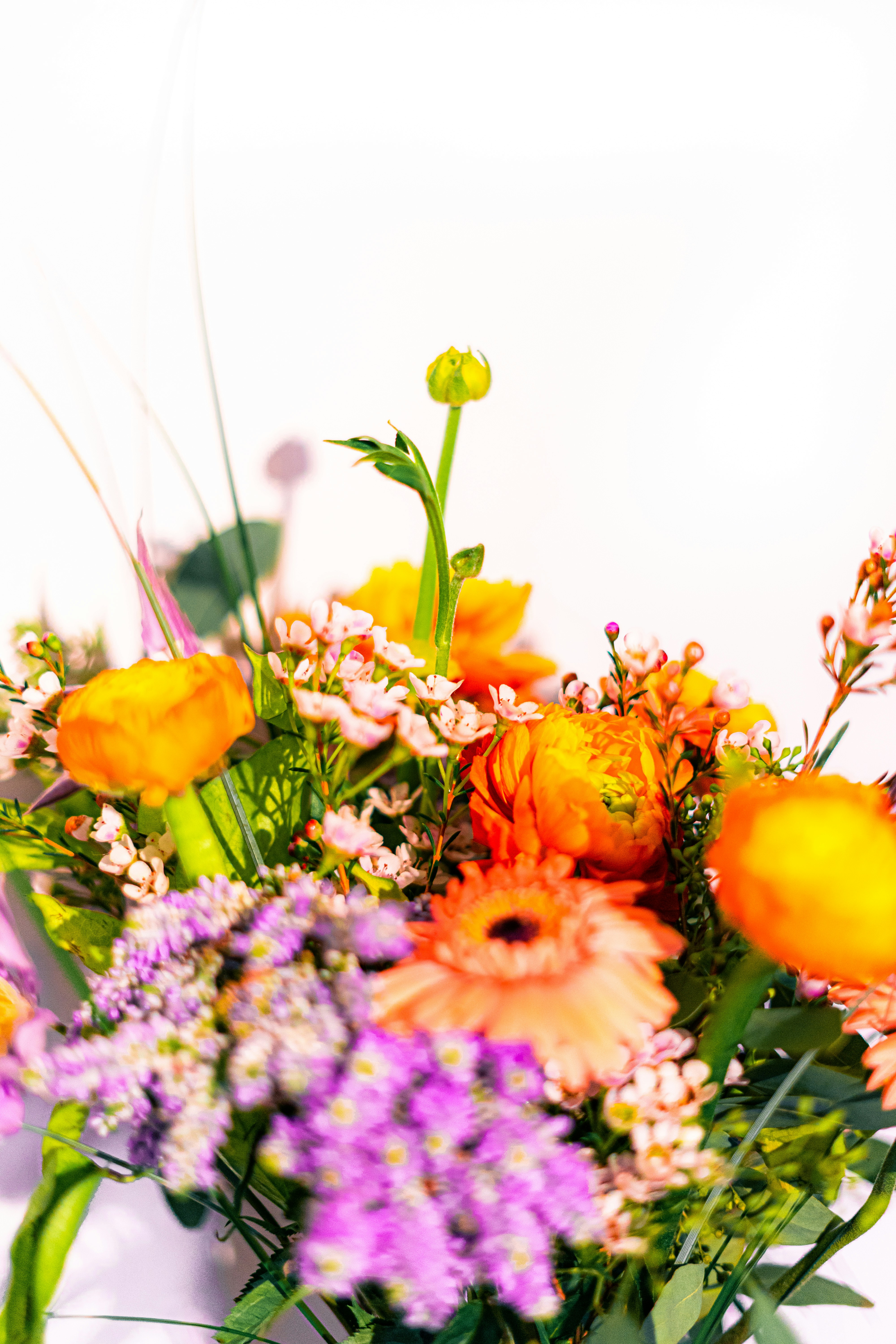 Photo by virussinside