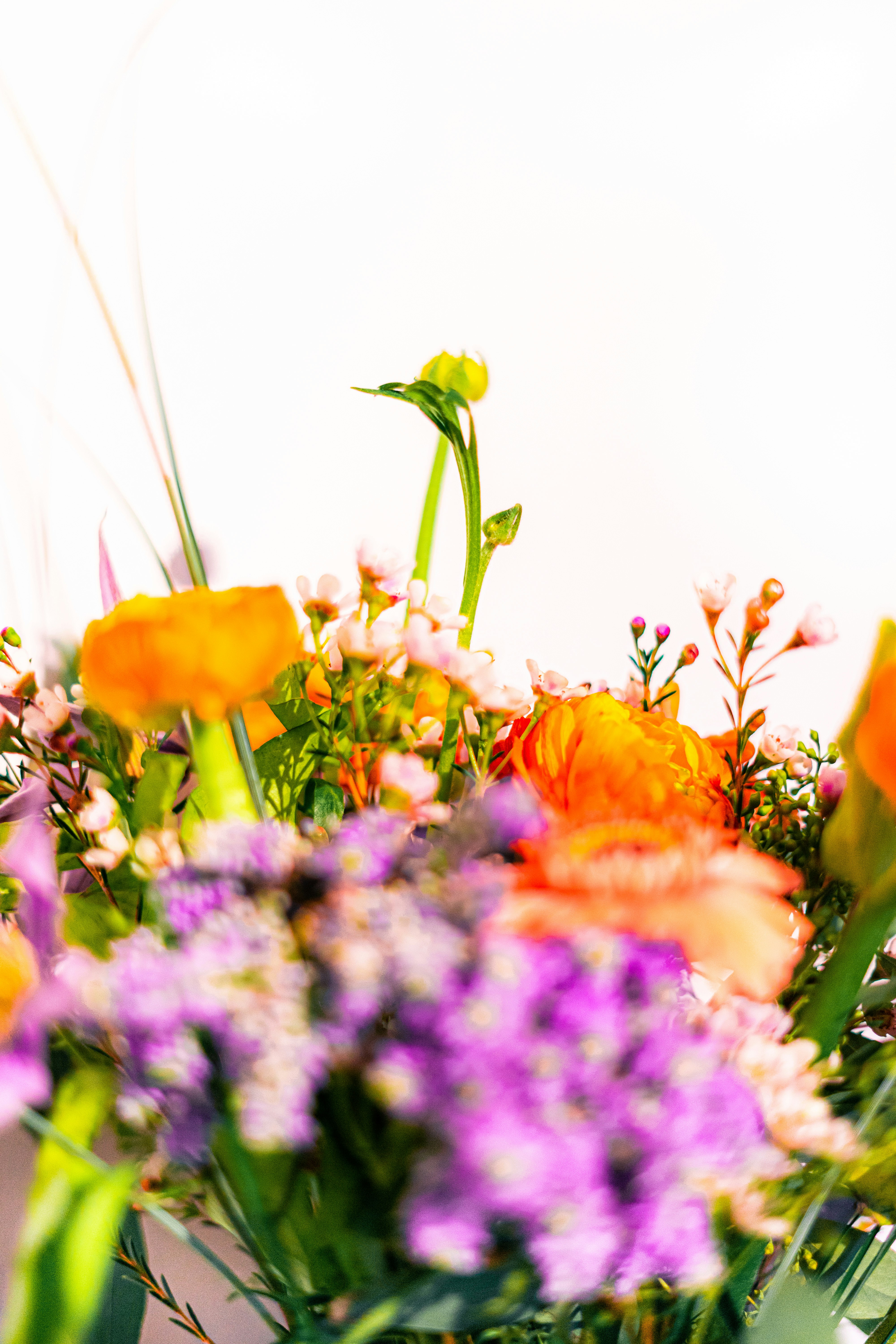 Photo by virussinside