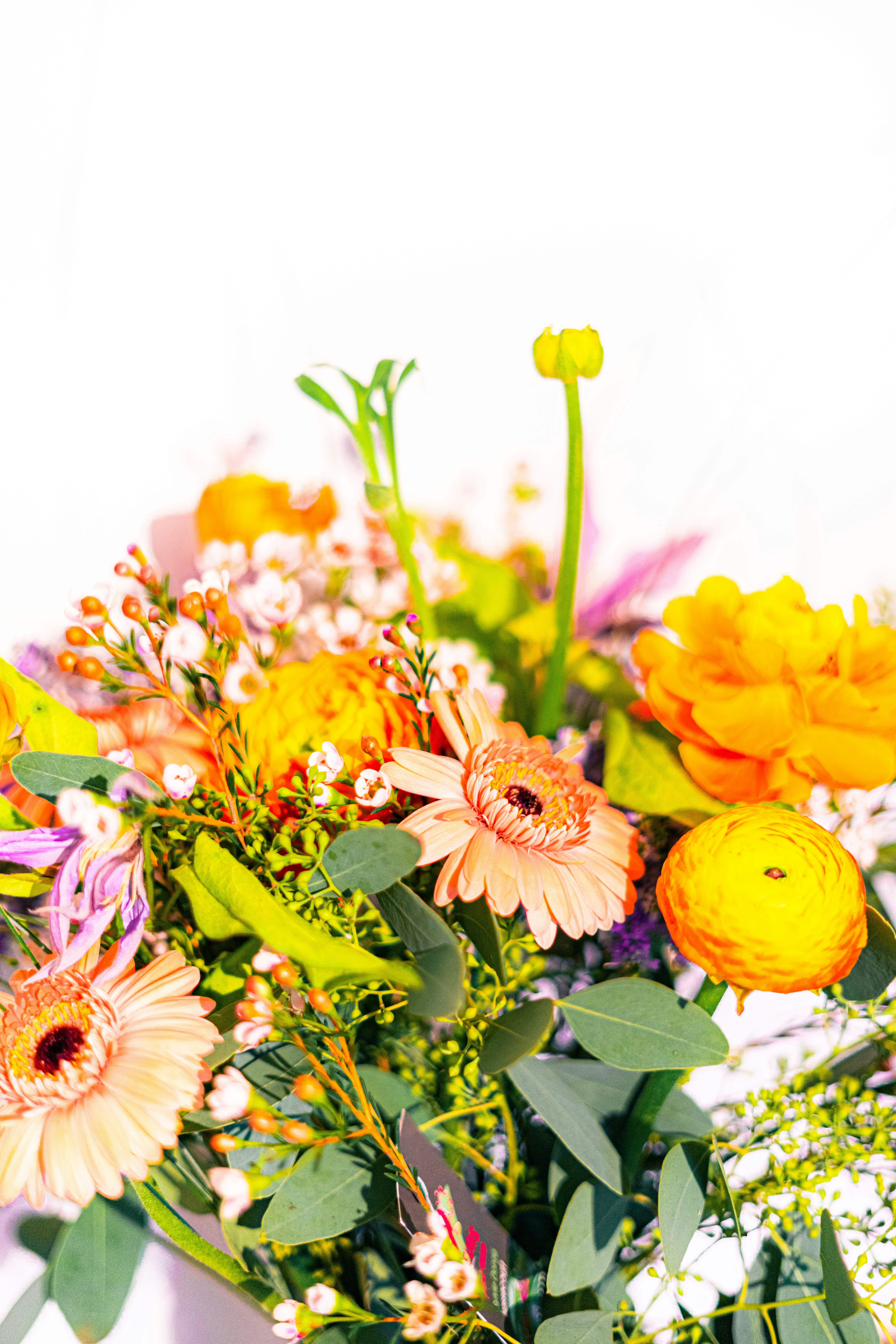 Photo by virussinside