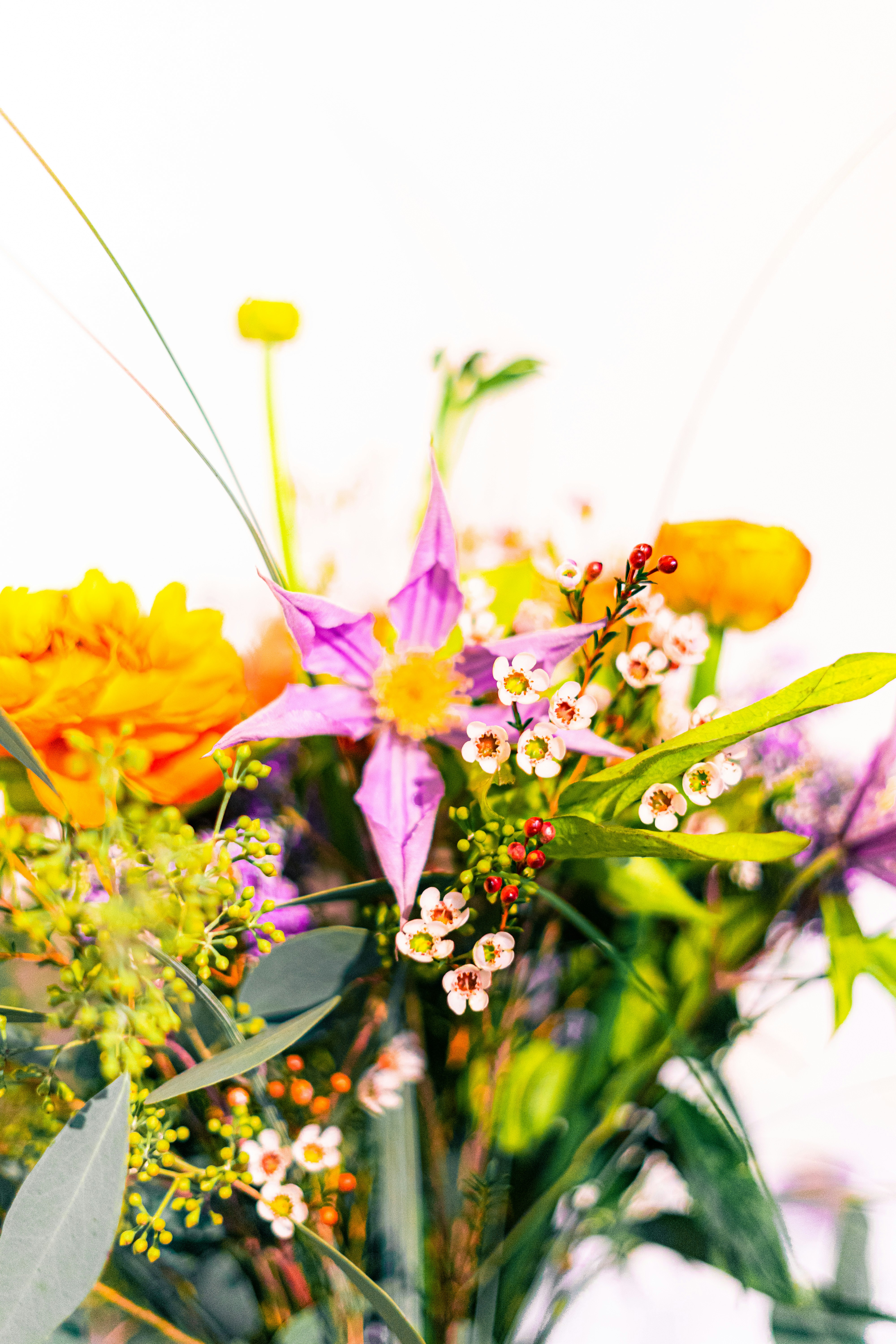 Photo by virussinside