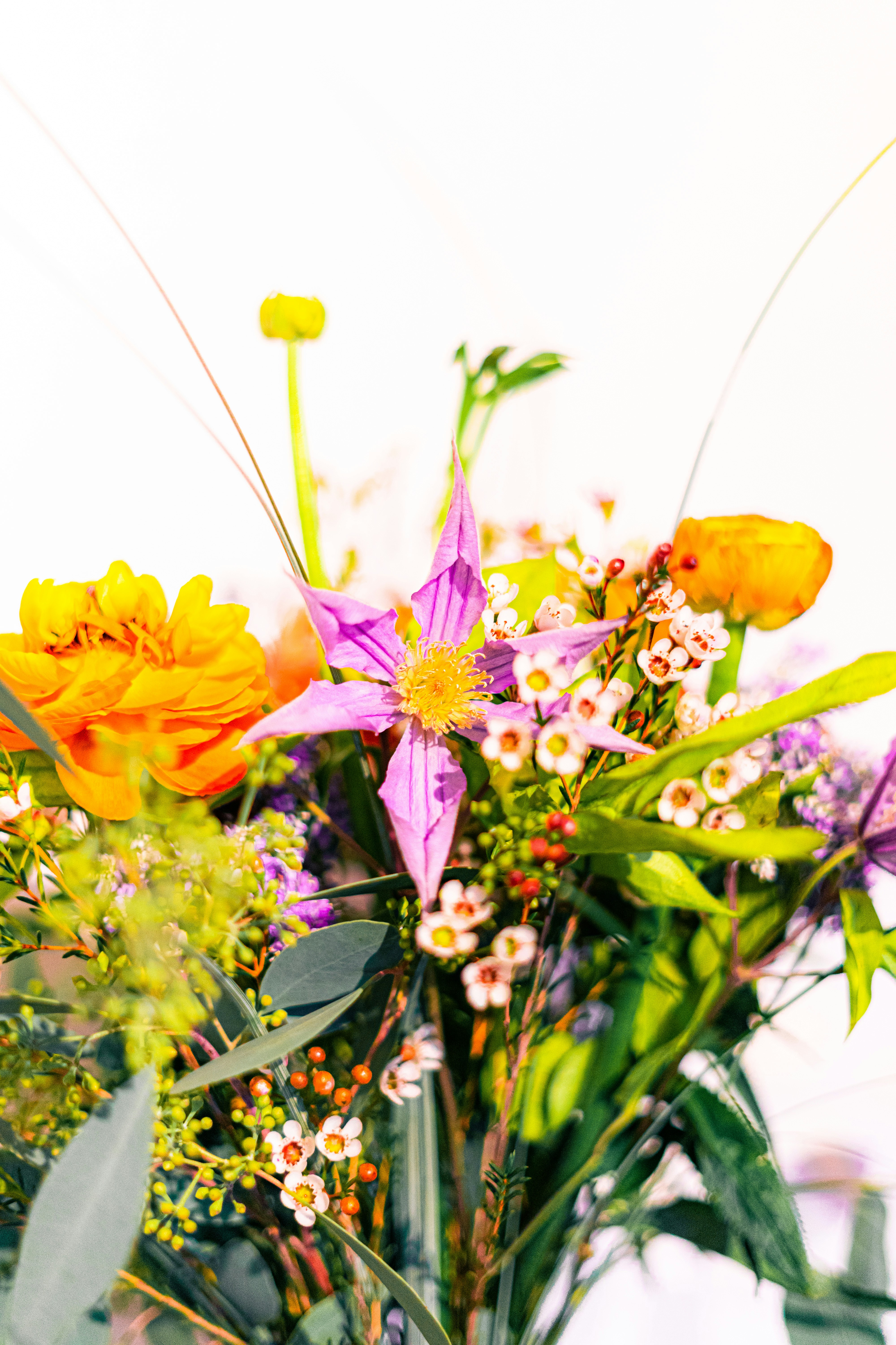 Photo by virussinside