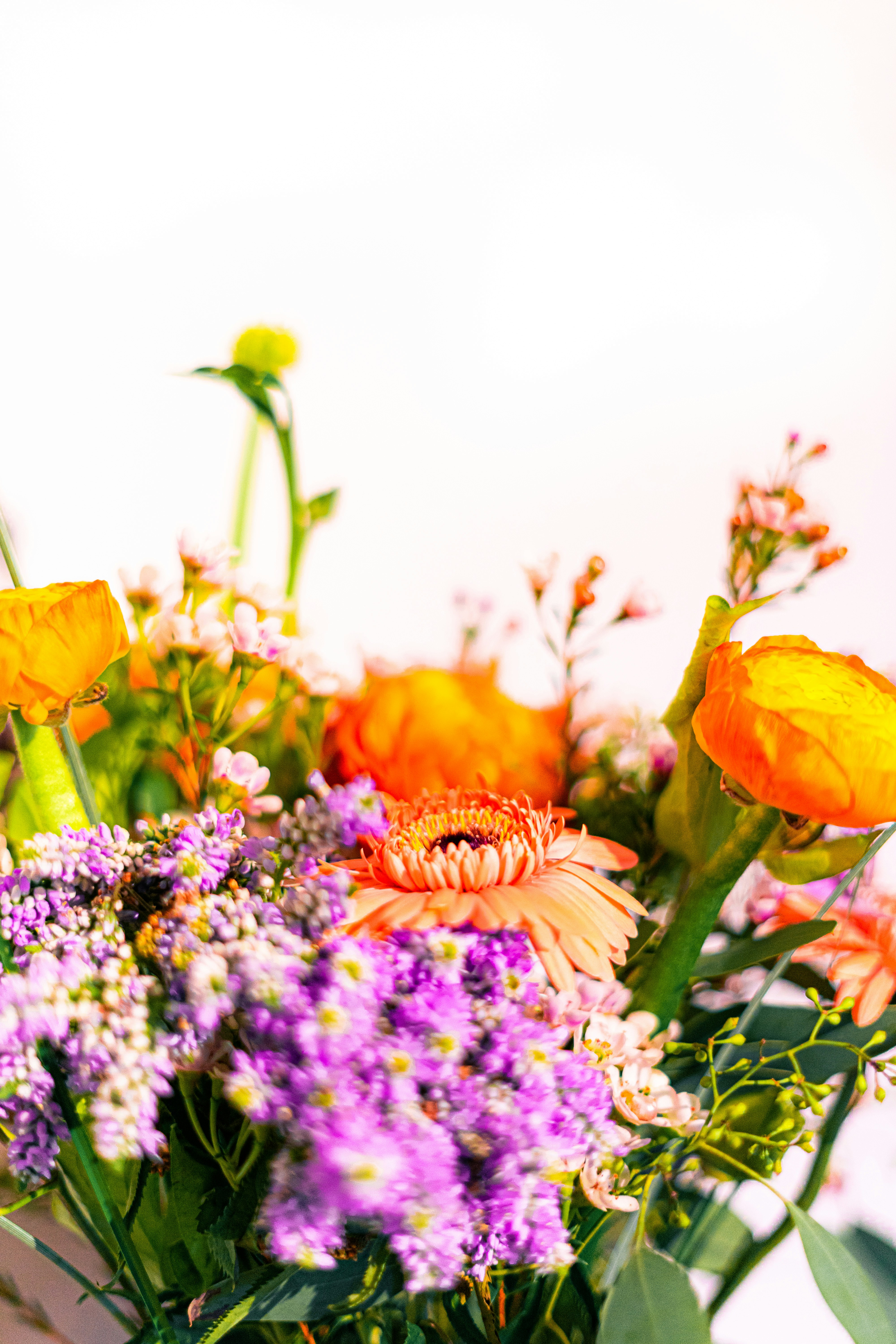 Photo by virussinside