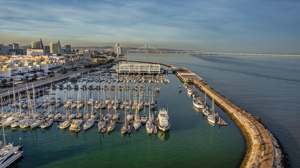 a harbor filled with lots of boats next to a city