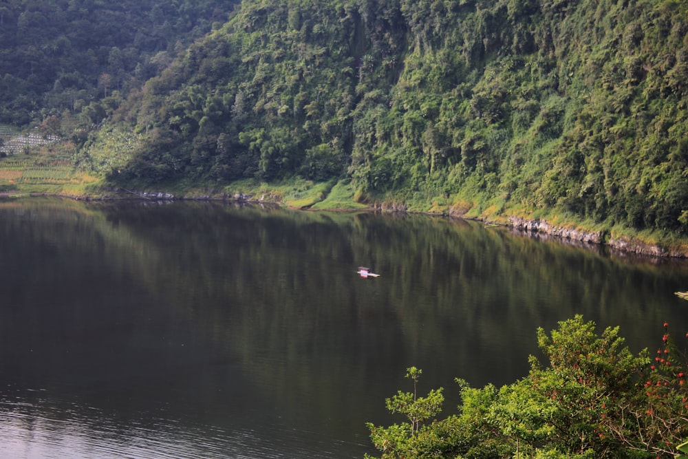 a body of water surrounded by a lush green hillside