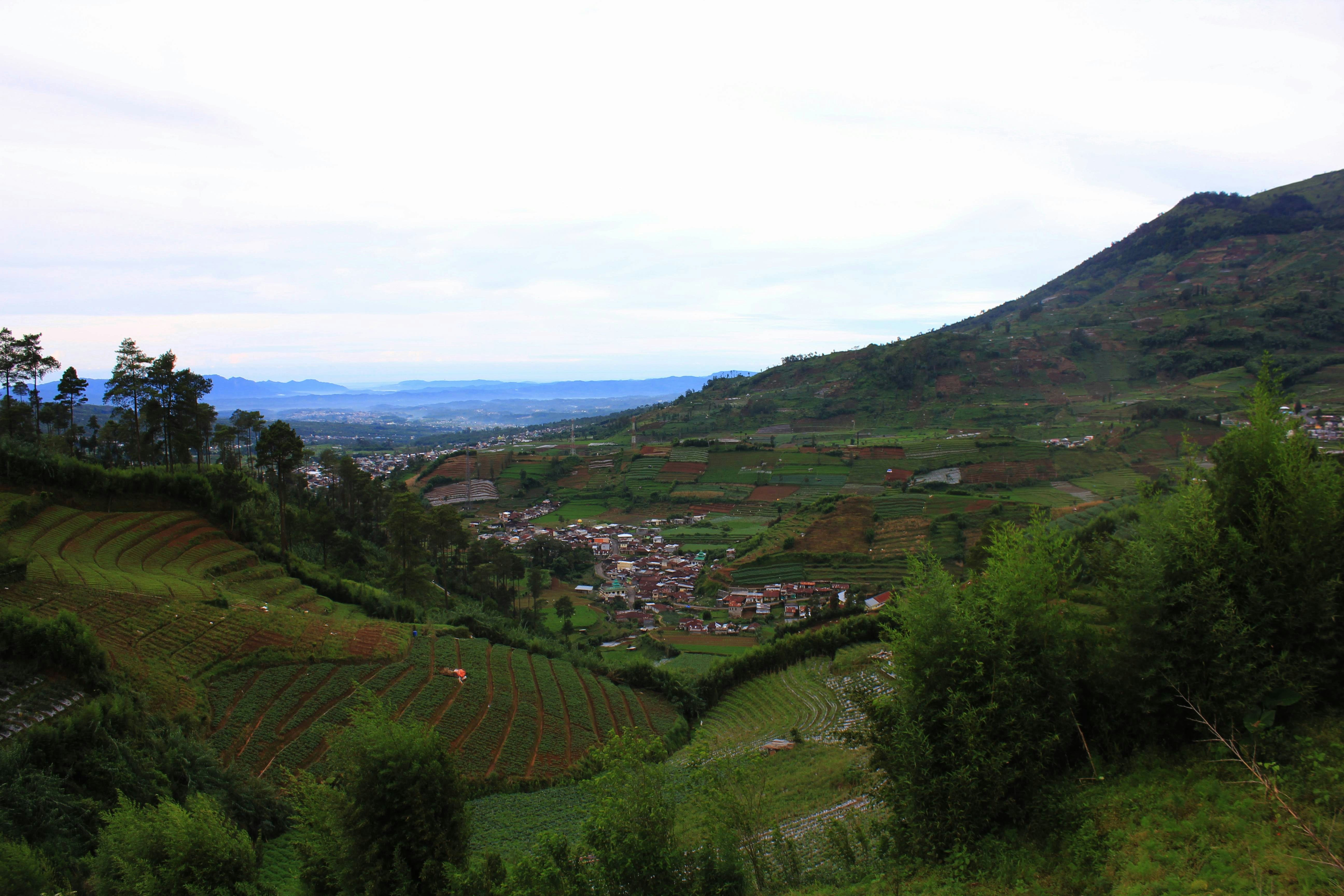 a scenic view of a village in the mountains