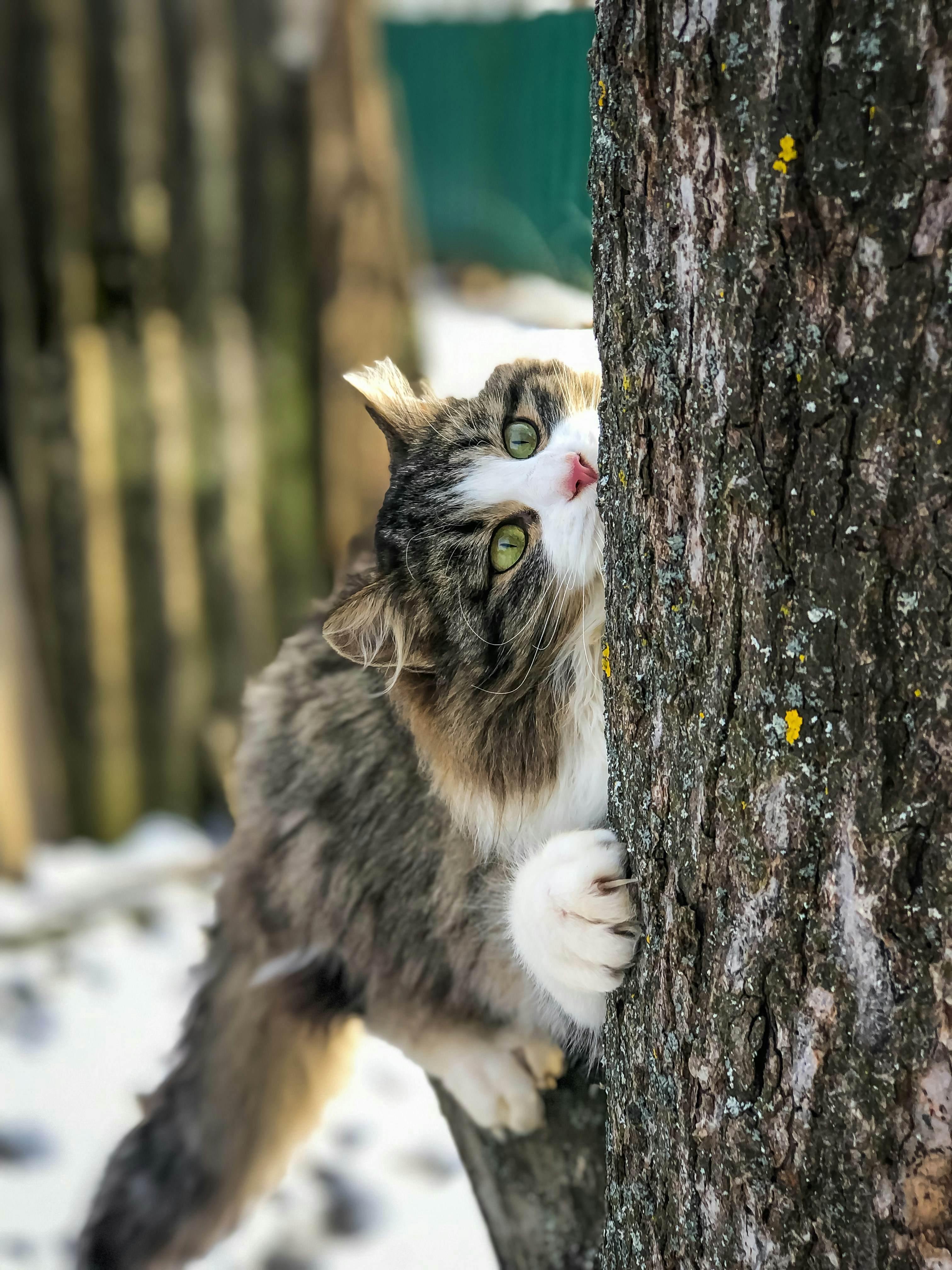 Learning Through Observation (image credits: unsplash)