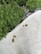 A variety of green plants grow from small black pots, bordered by a curved edge of white concrete. Scattered dry leaves are present on the concrete surface, contrasting with the vibrant green foliage.