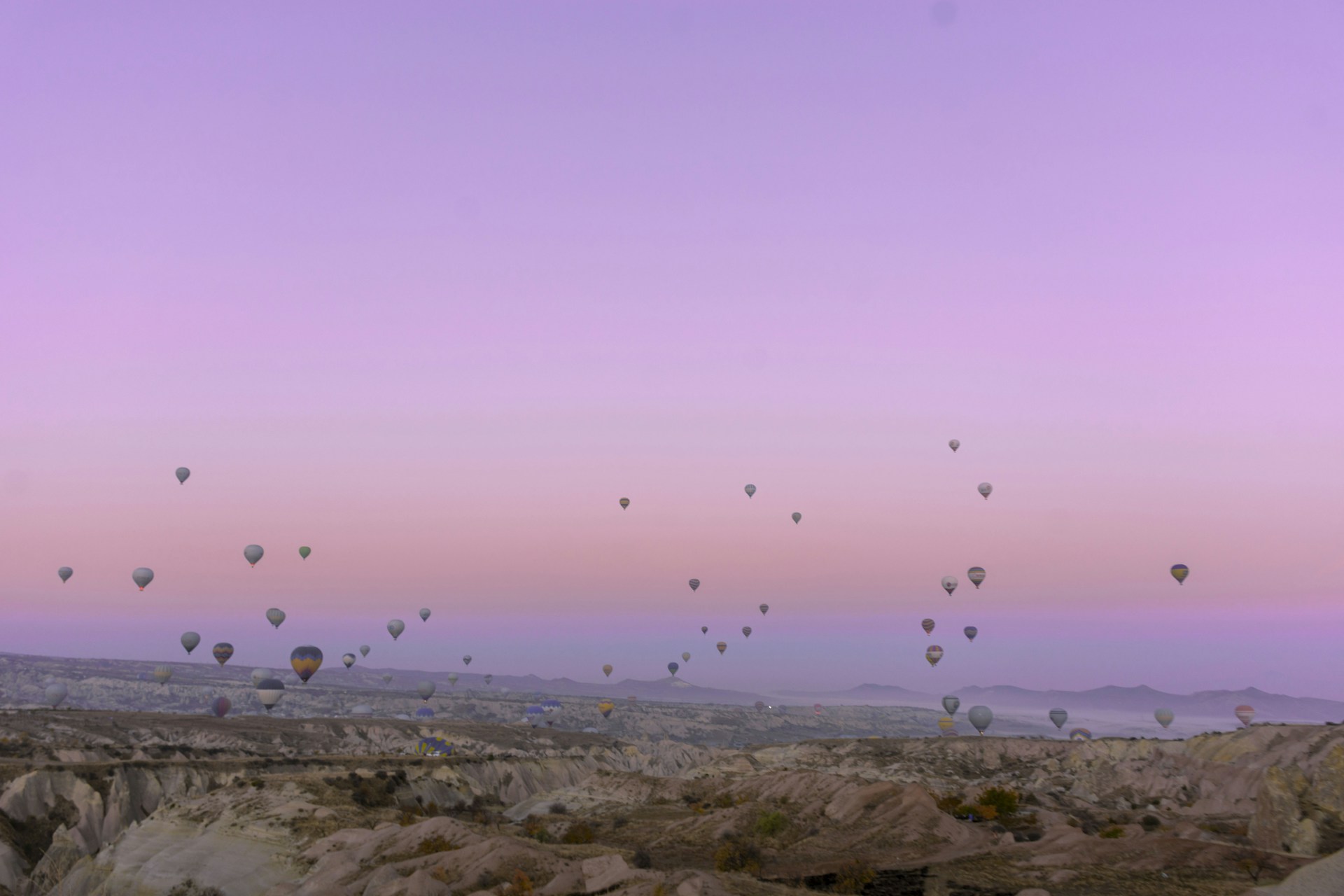 a group of hot air balloons flying in the sky