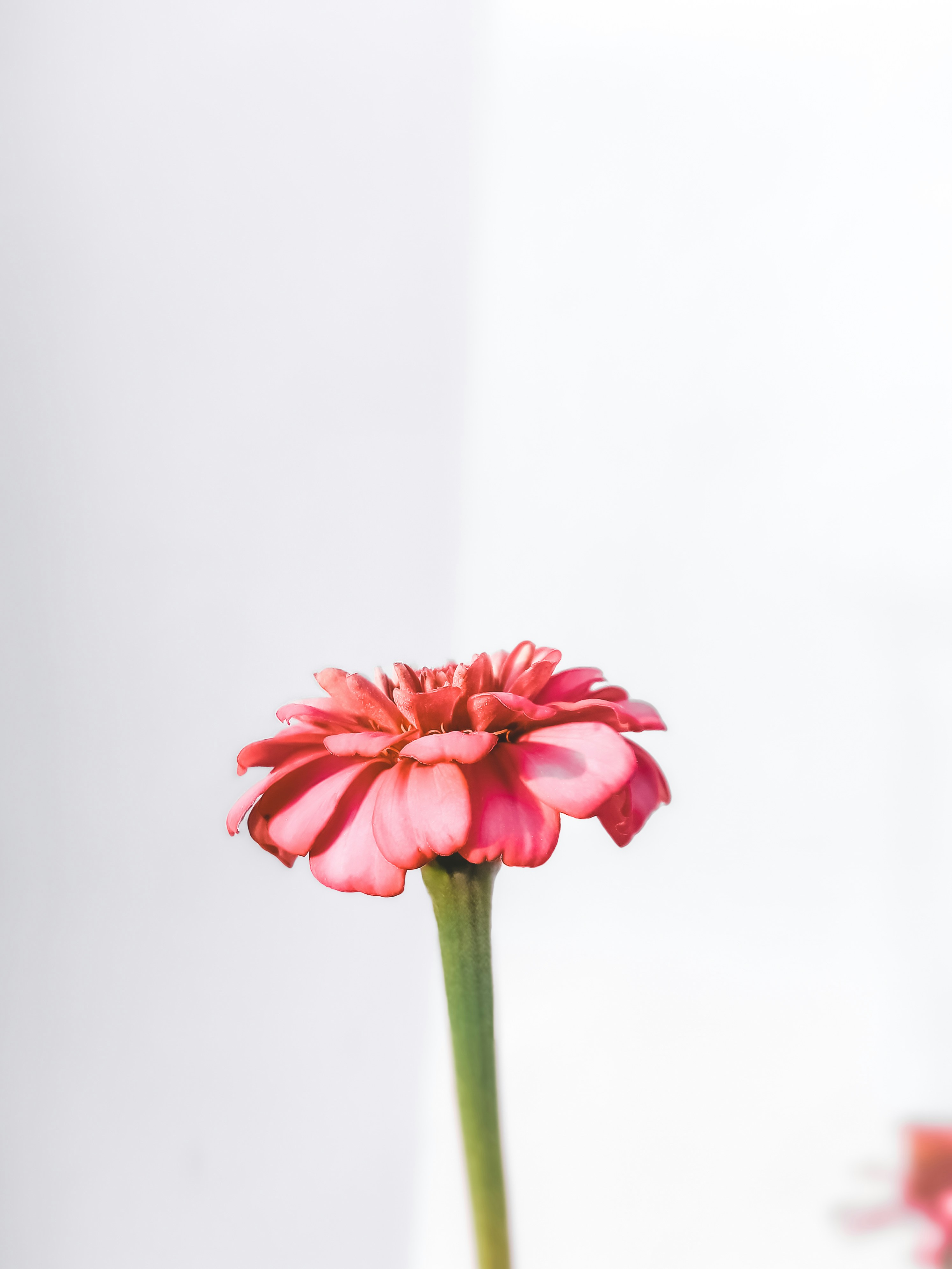 Photo by aurathephotobook1